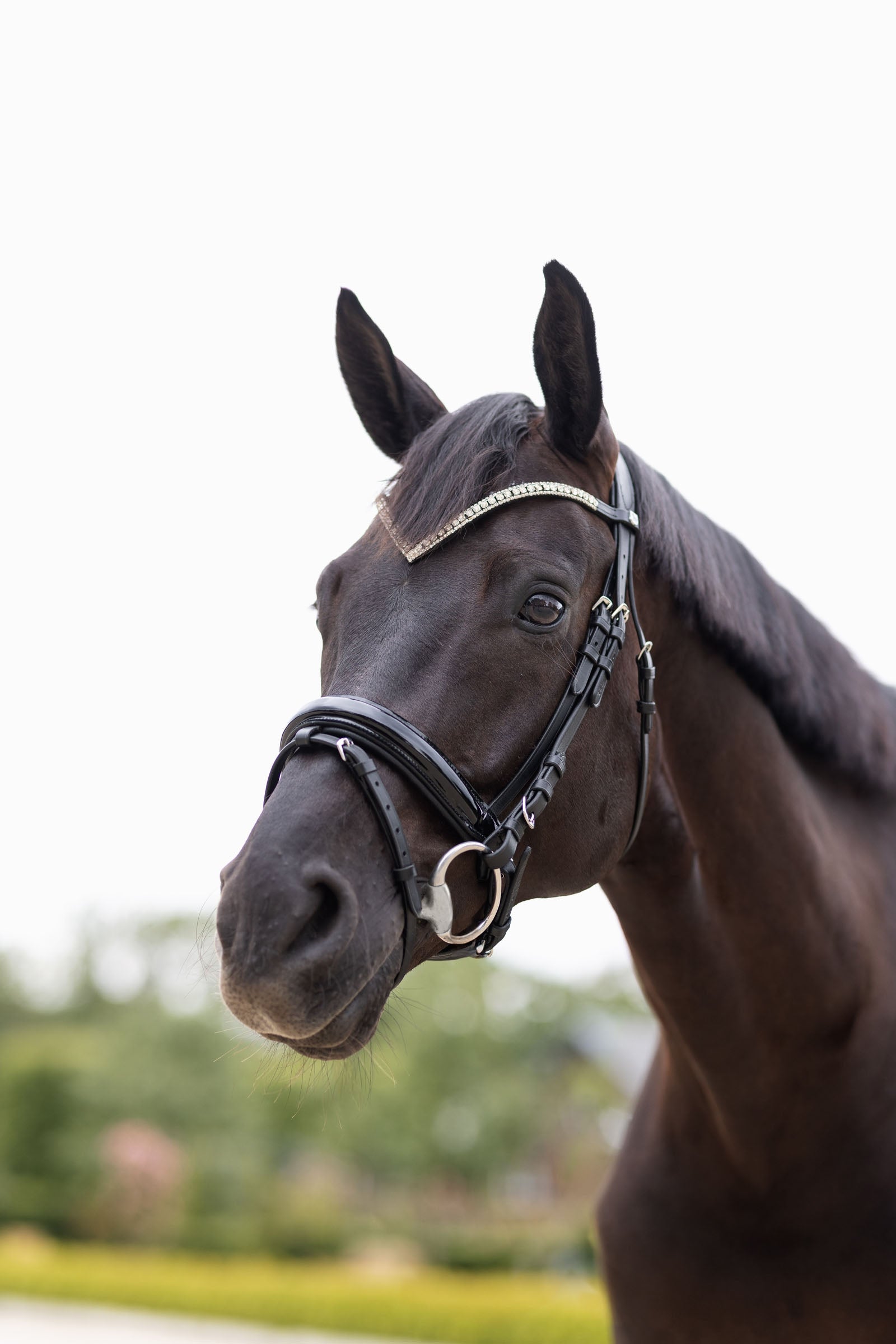 Horze Grayson Anatomic Snaffle Bridle Bridles & Reins