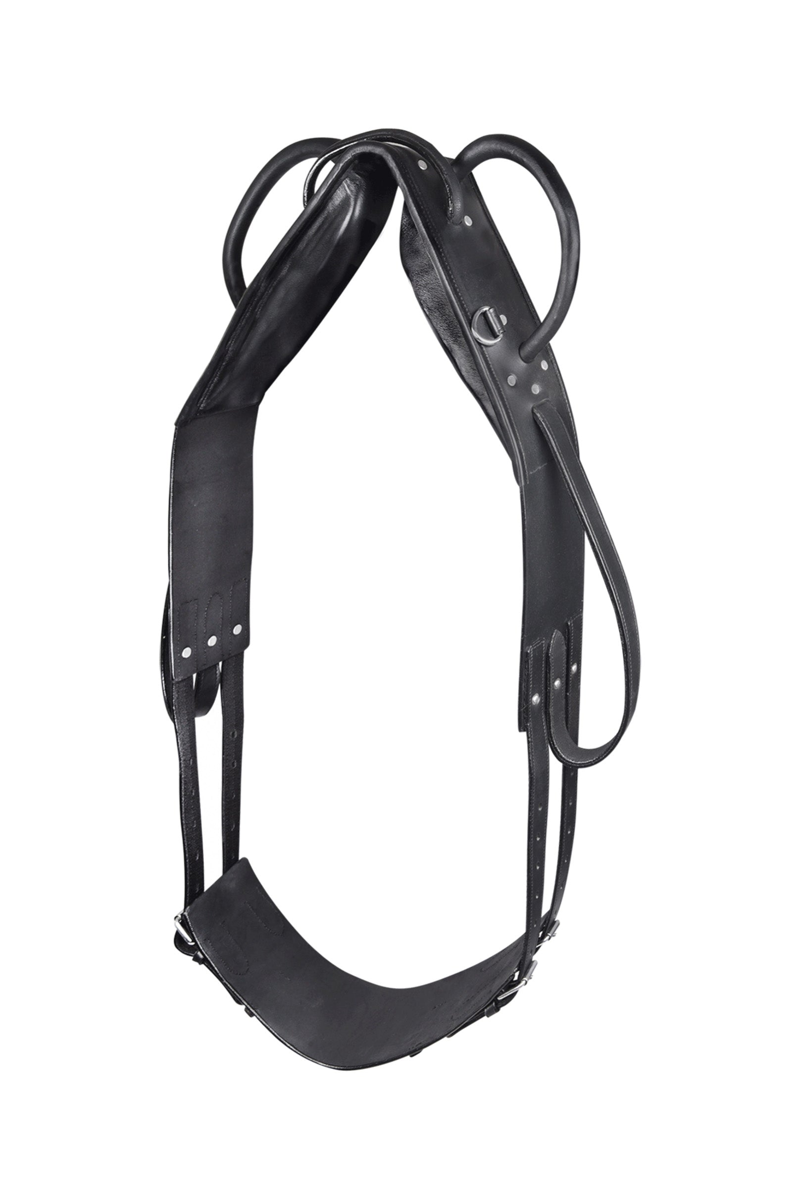 Waldhausen Vaulting & Lunging Surcingle Lókiképzés