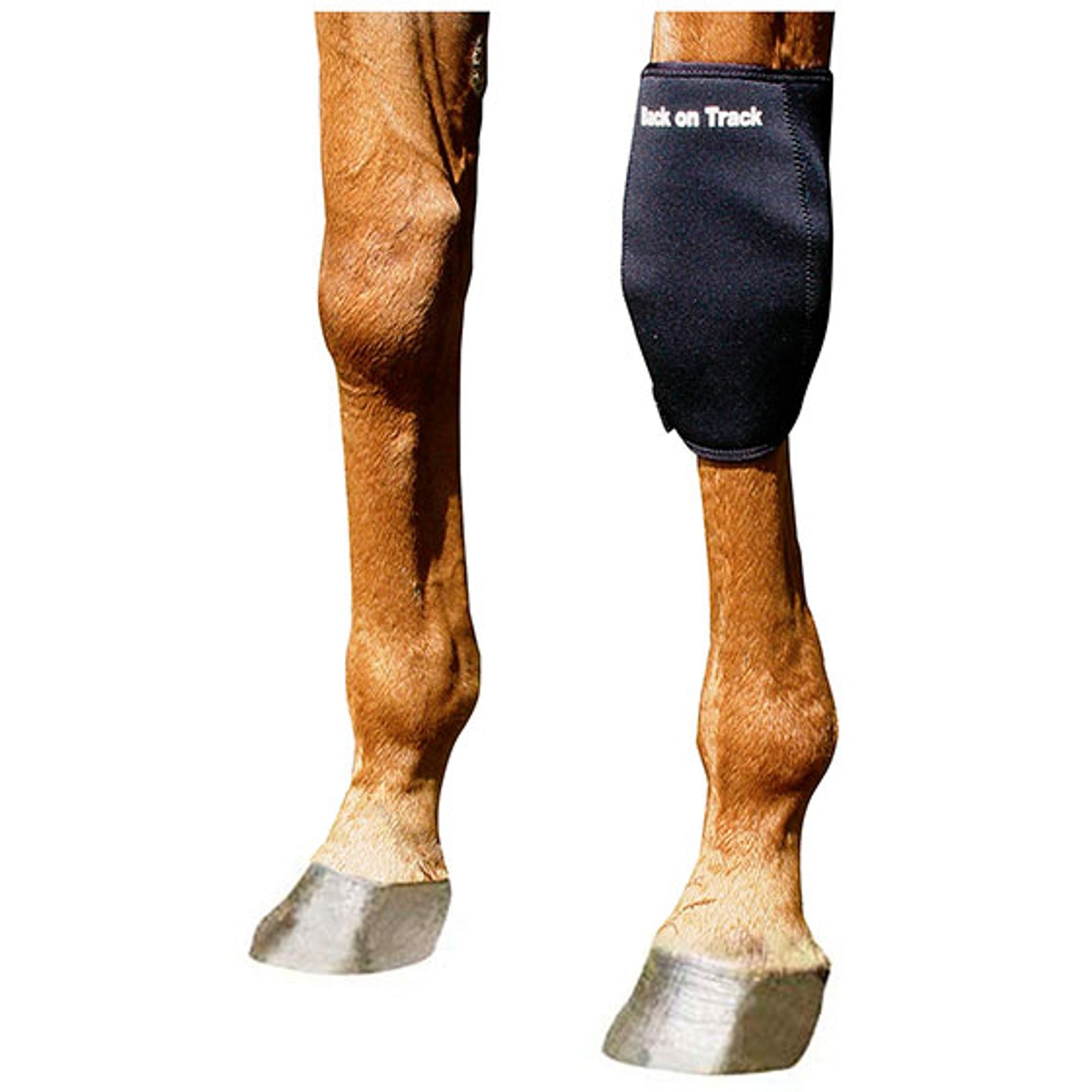 Back on Track Back On Track Lábtővédő, Bal Leg Protection & Hoof Protection for Horses