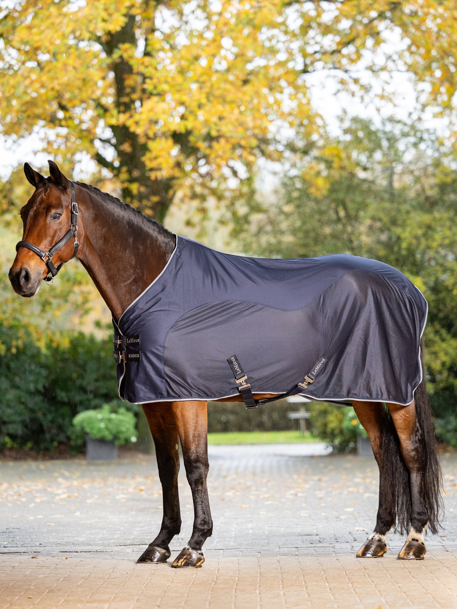 LeMieux Kudos Hybrid Cooler Lótakarók