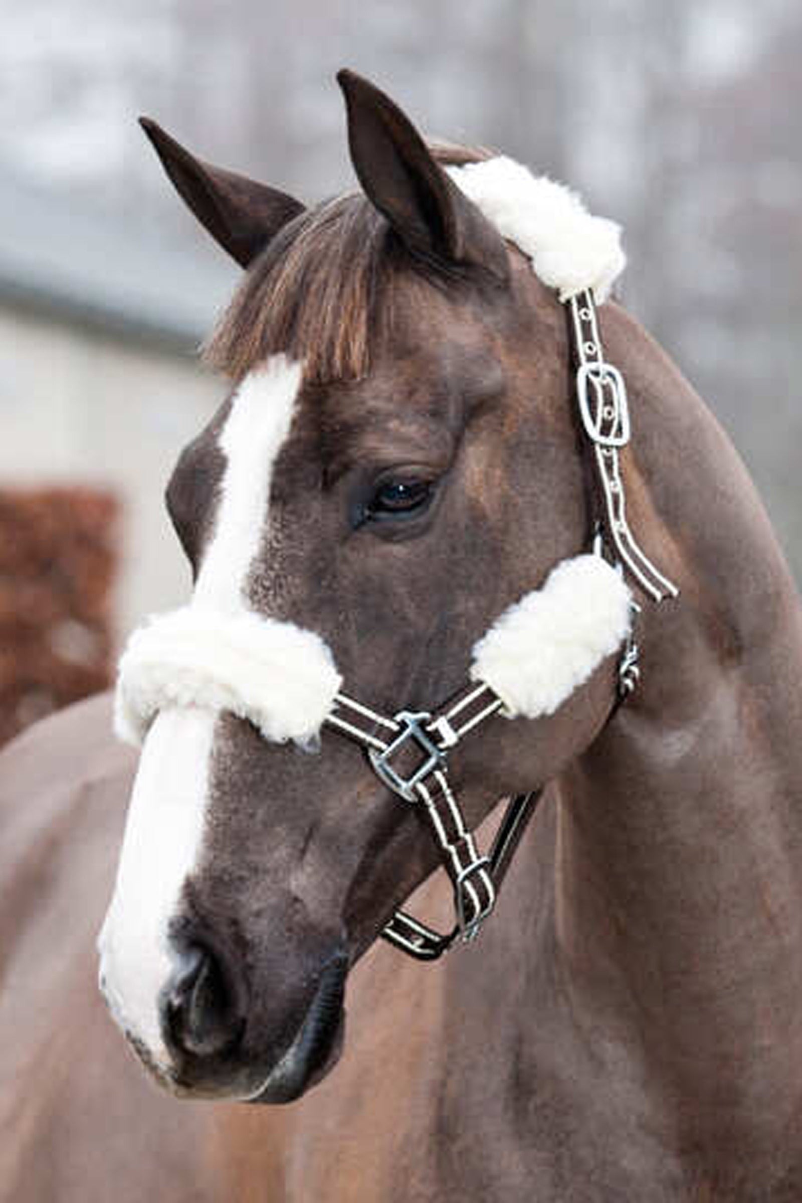 Horze Halter Tubes, 4 pack Halters & Leads