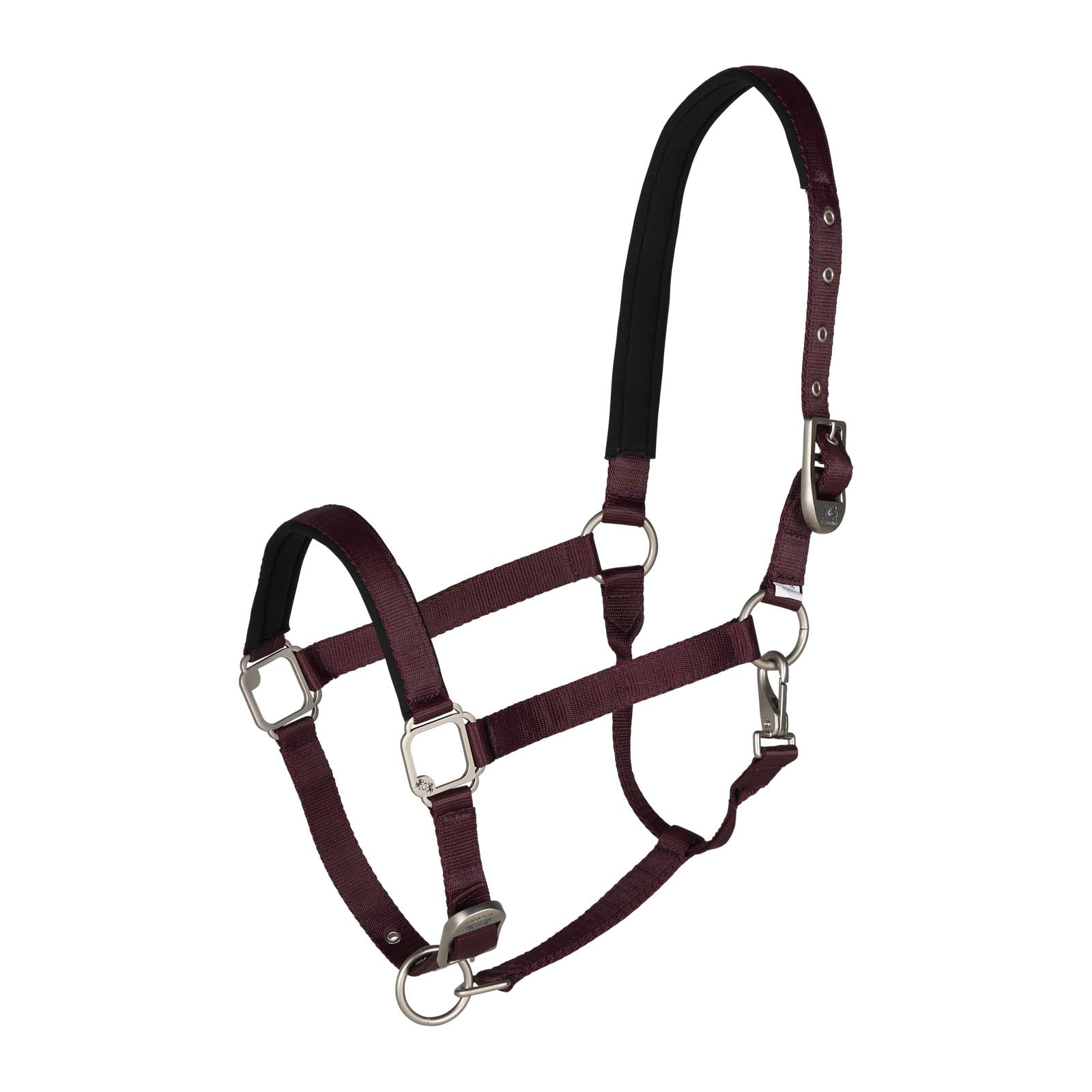 B Vertigo Hardwick Halter Halters & Leads