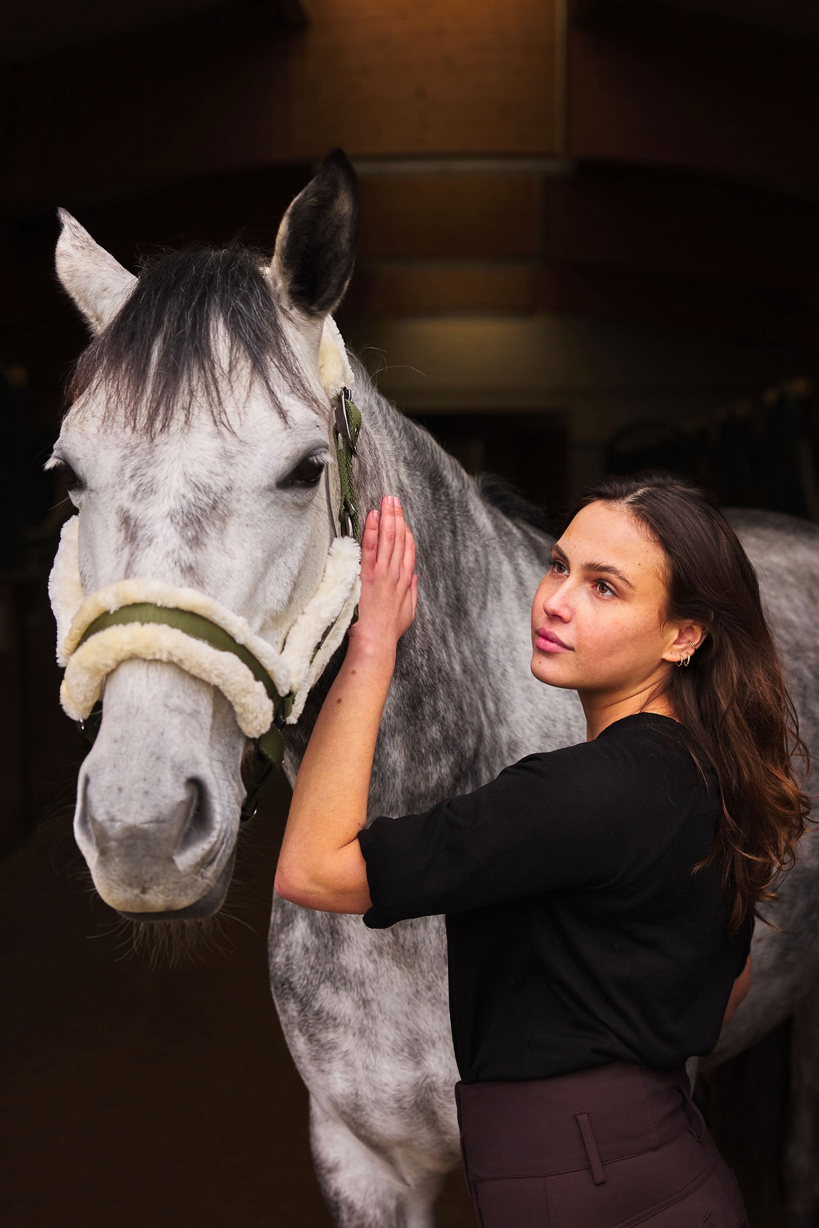 Horze Marquess Halter Halters & Leads