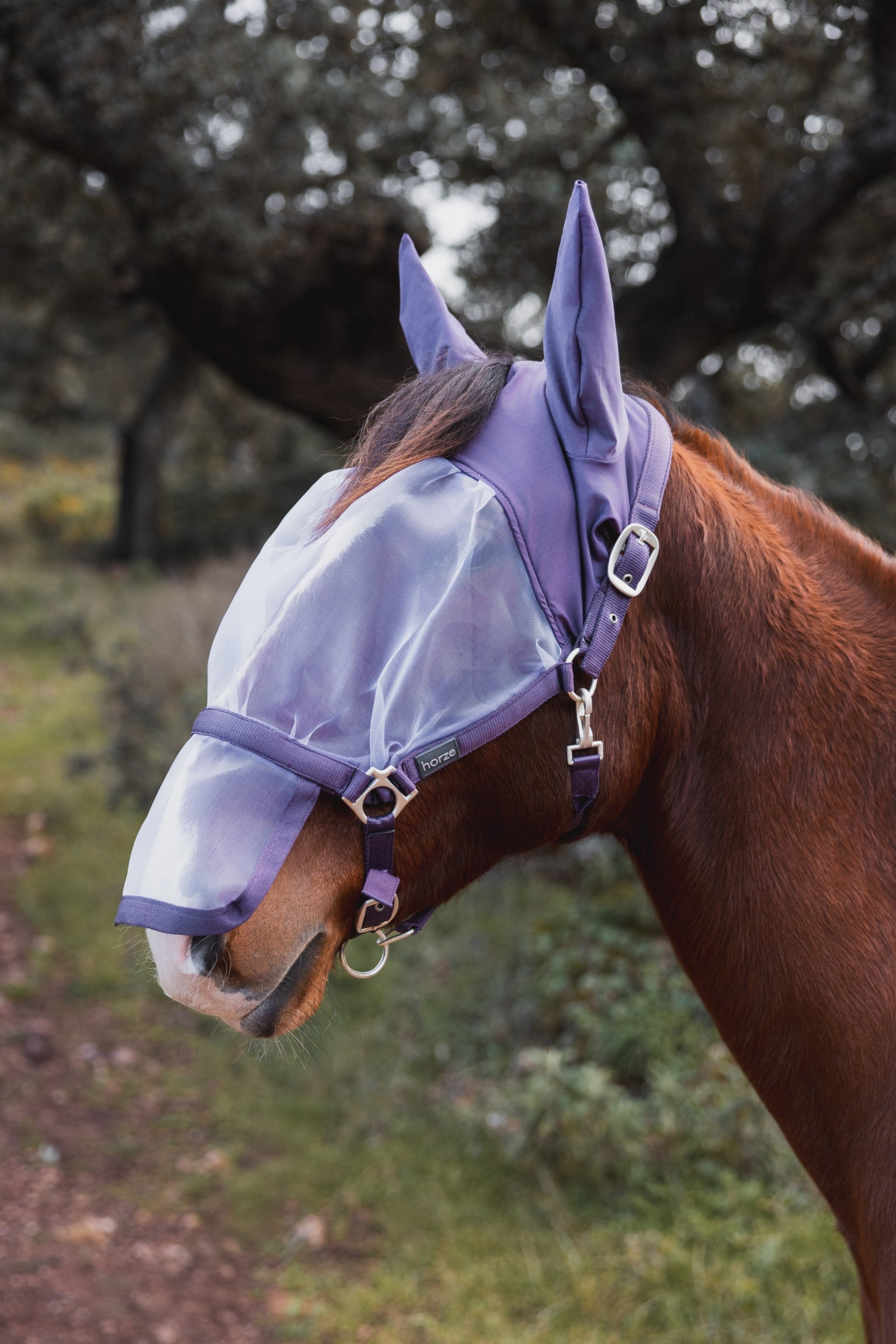 Horze Paso Fino Halter With Fly Mask Antifly Protection for Horses