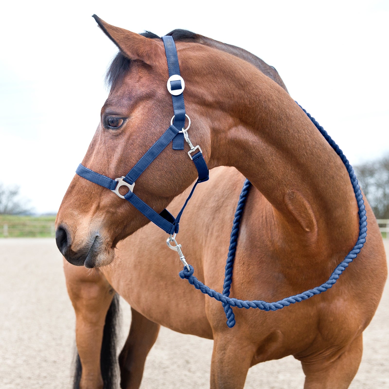 Horze Basic Vezetőszár Kötofékek & Vezetoszárak