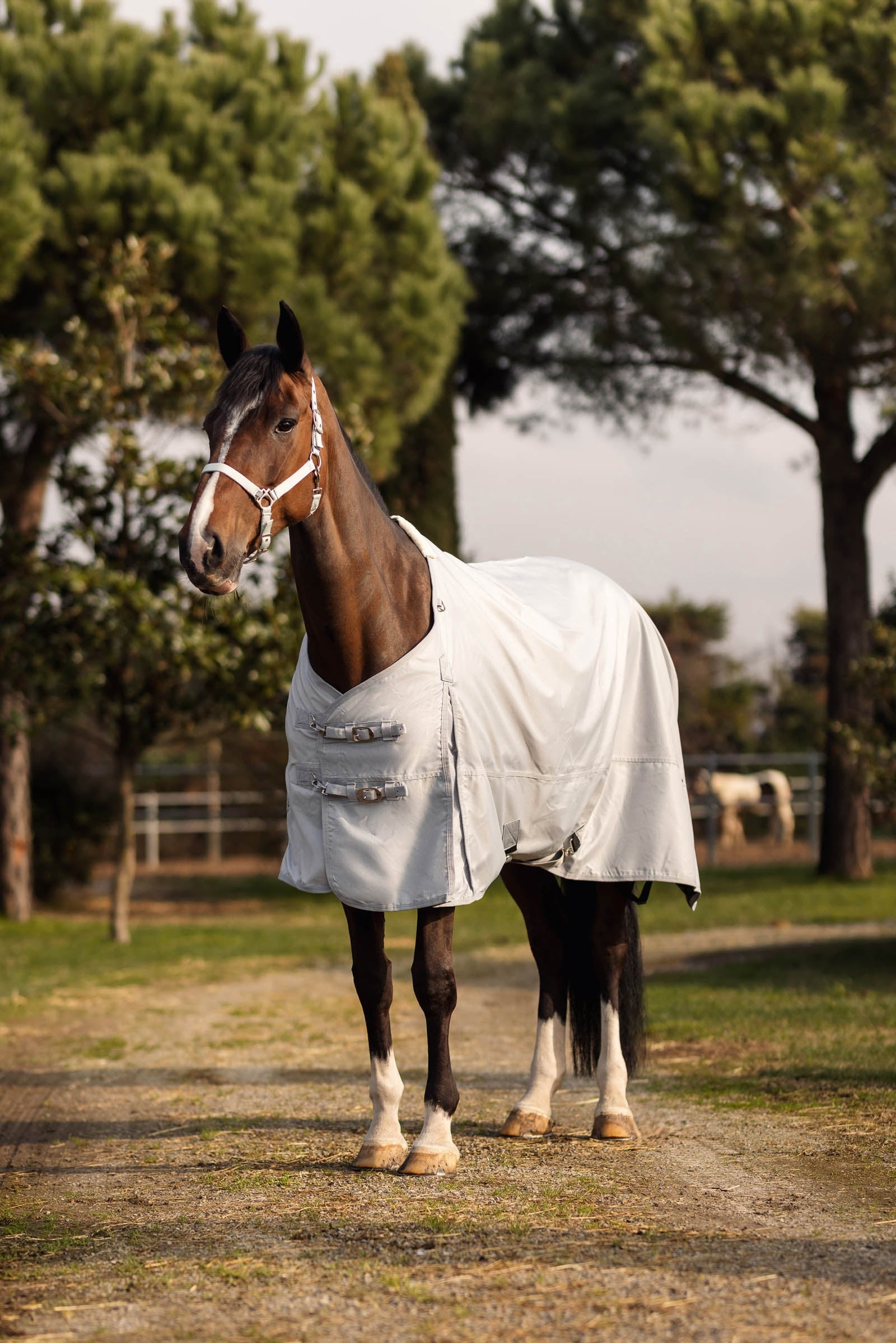 Horze Nevada 600D Turnout Rug, 0g Horse Rugs