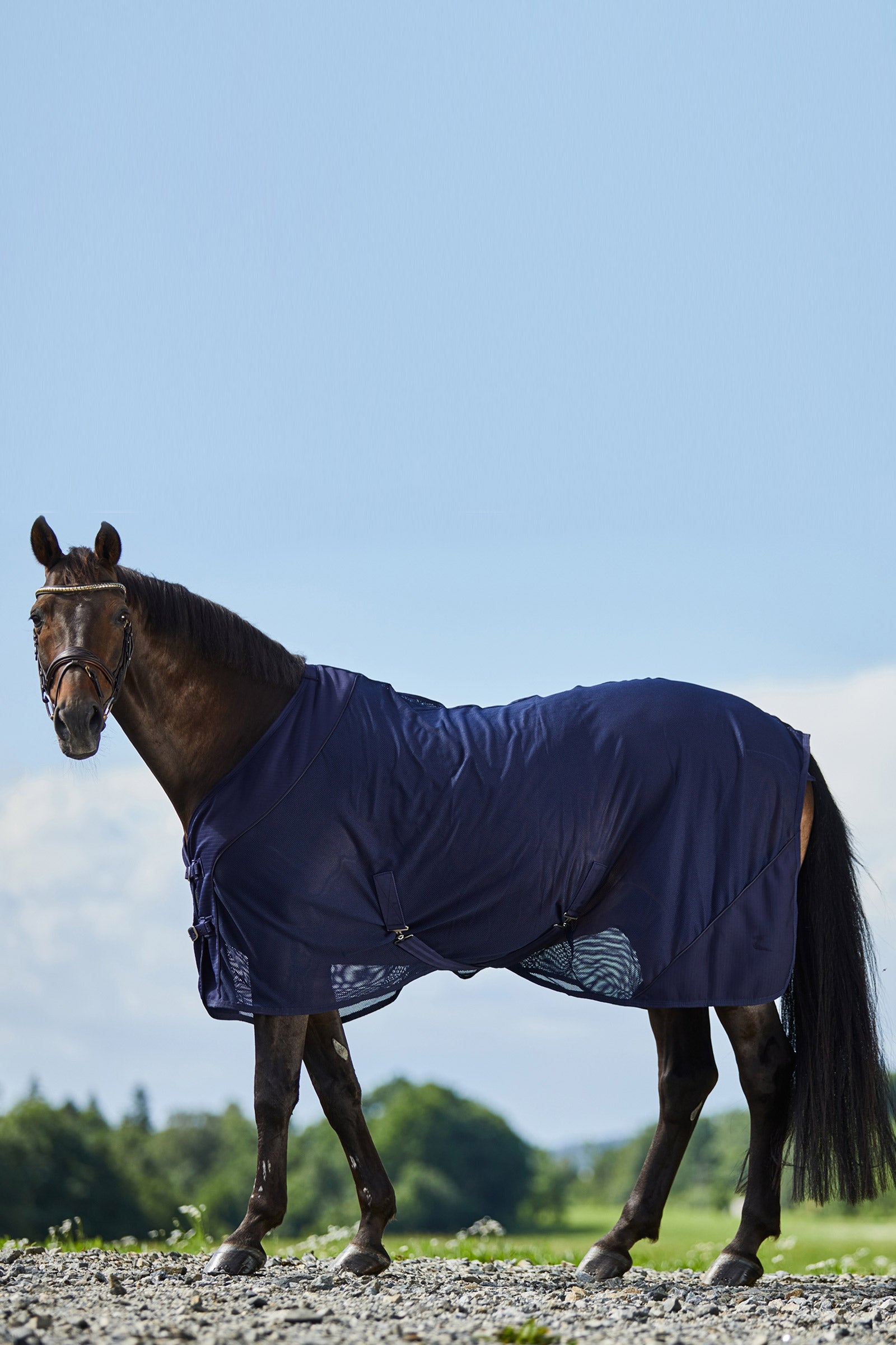 Horze Turin Mesh Cooler Rug Horse Rugs