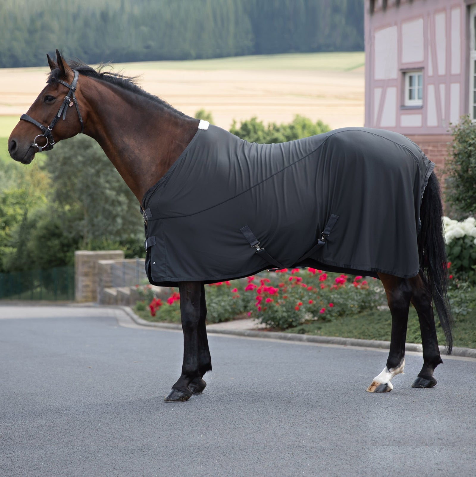 Horze Cooling Mesh Rug Horse Rugs