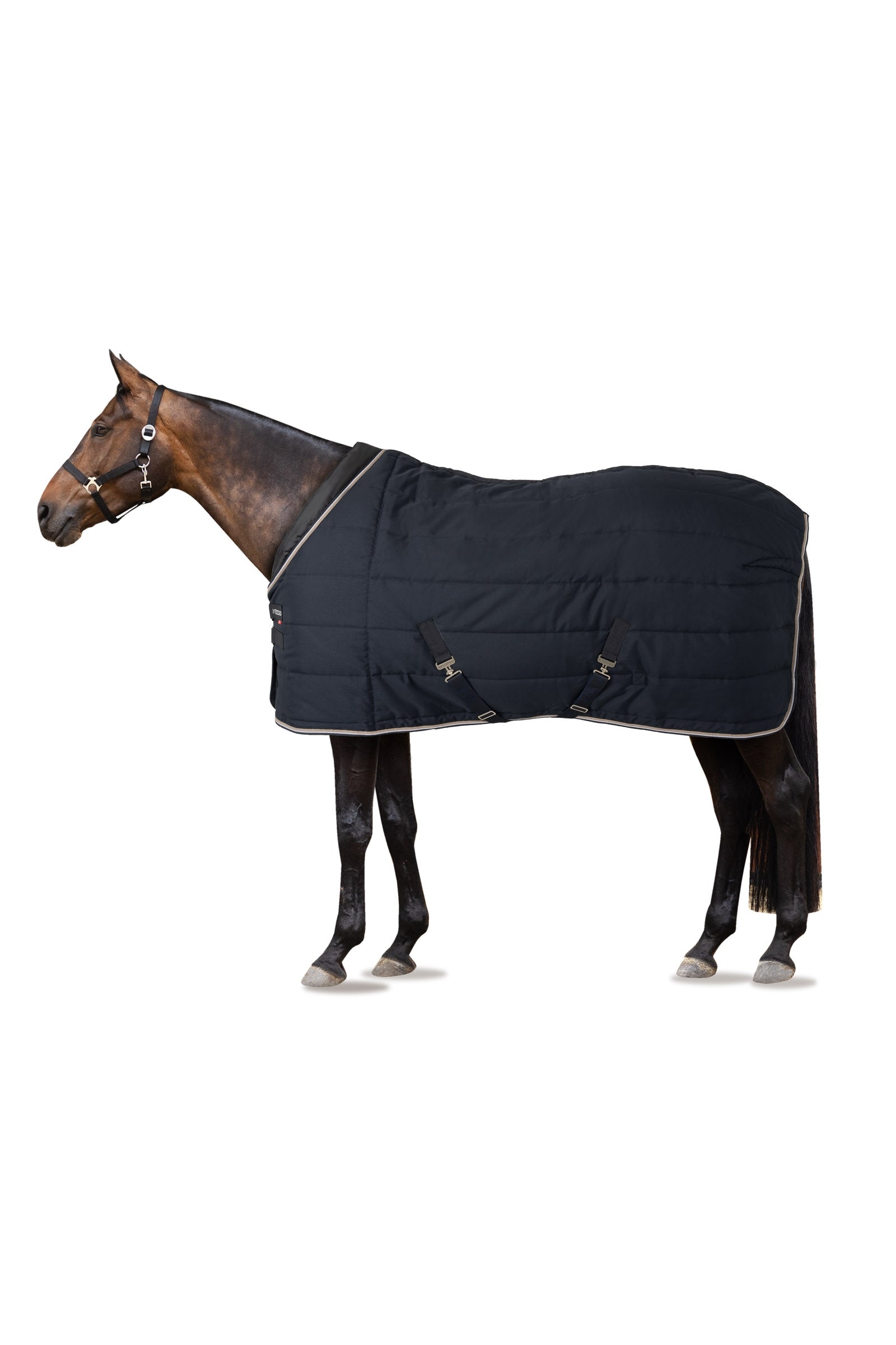 B Vertigo Tim Stable Rug, 400g Horse Rugs