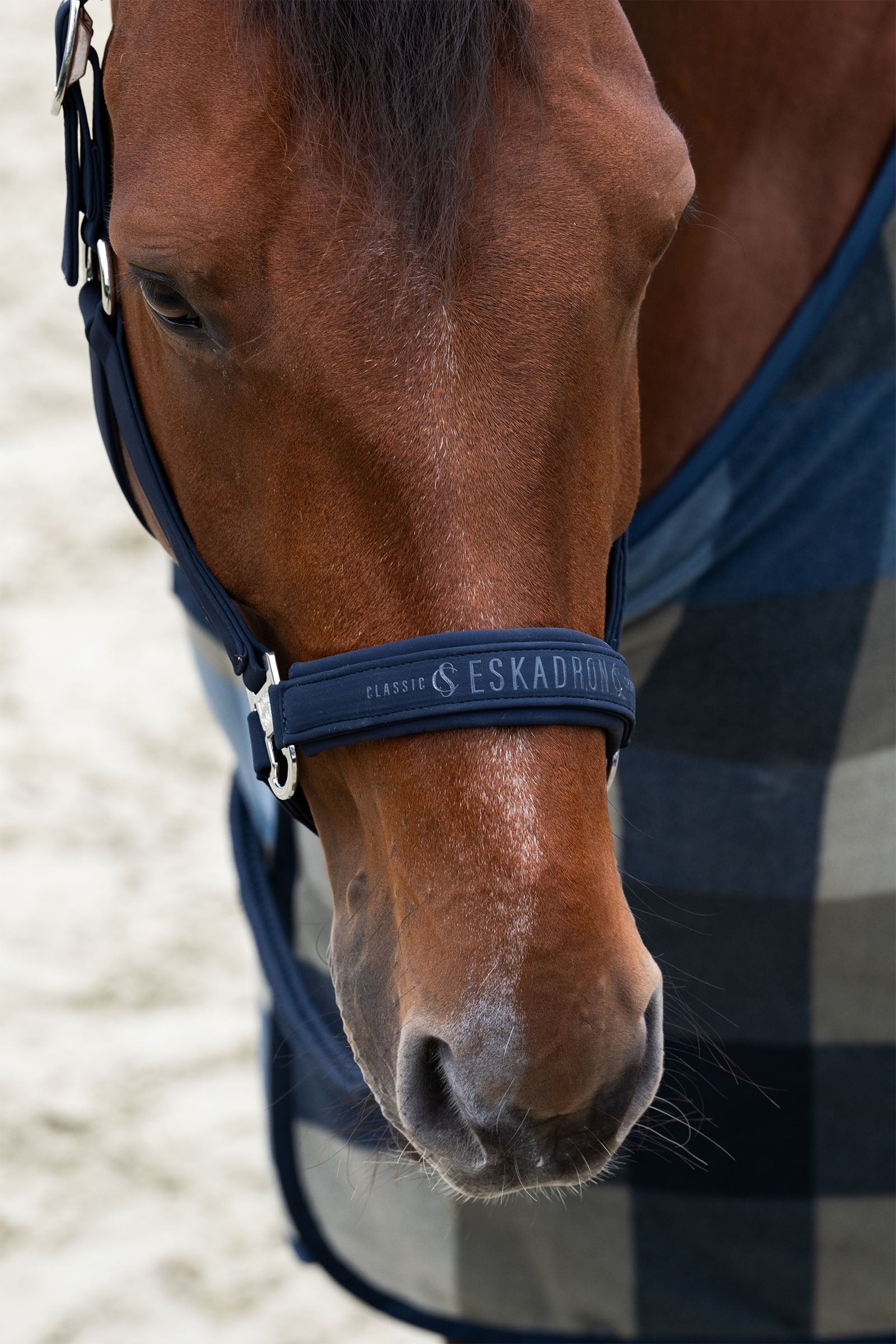 Eskadron Classic Sports SS25 Softshell Double Pin Headcollar Halters & Leads