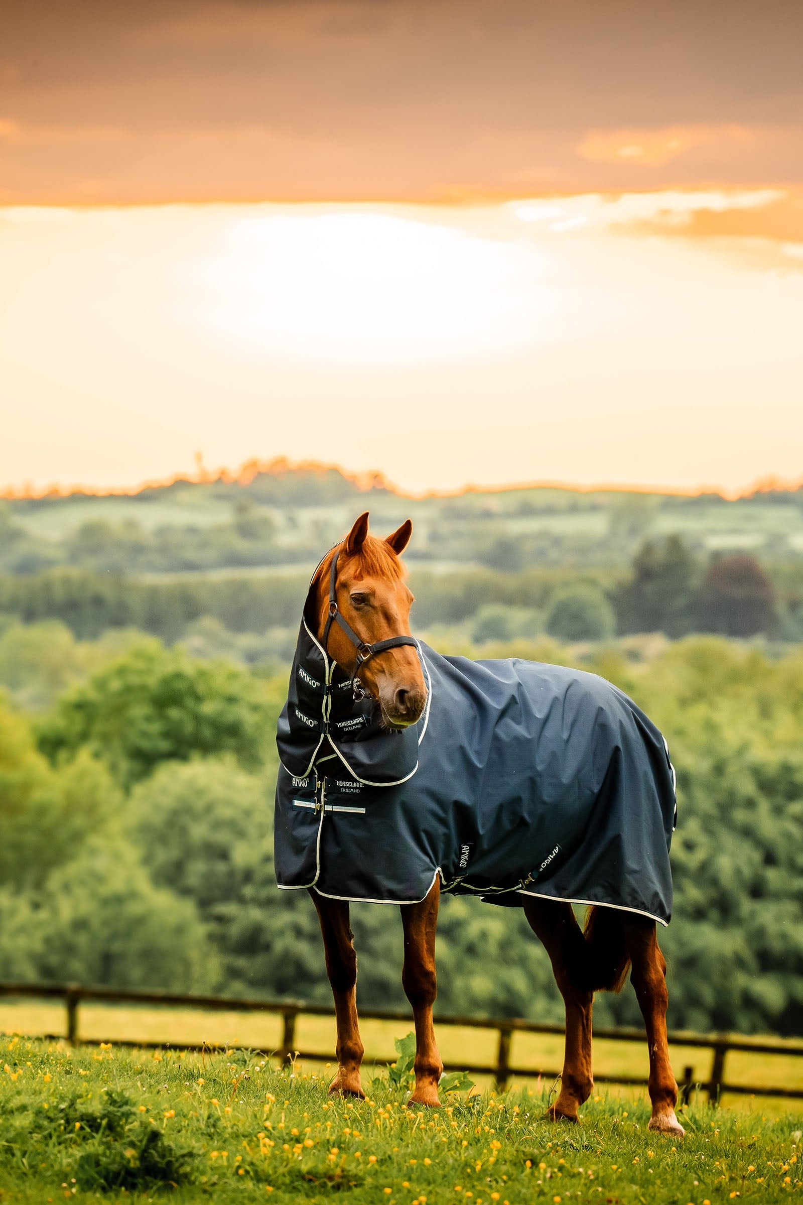 Horseware Amigo Ripstop 900D Plus kültéri takaró levehető nyakrésszel, 100 g Lótakarók
