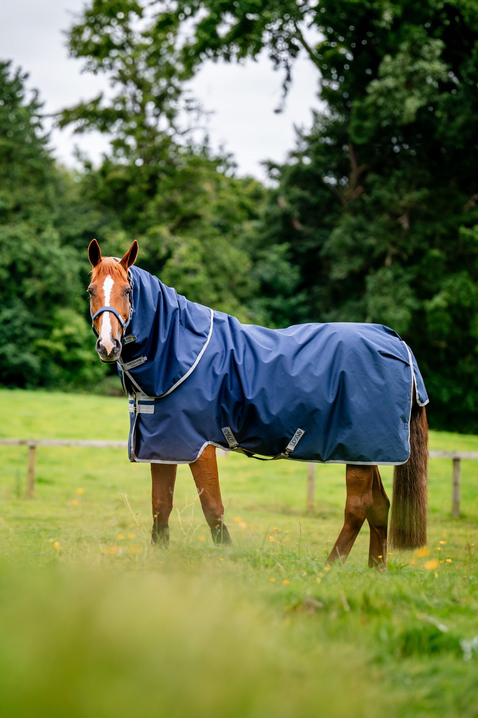 Horseware Amigo Ripstop 900D Plus kültéri takaró levehető nyakrésszel, 100 g Lótakarók