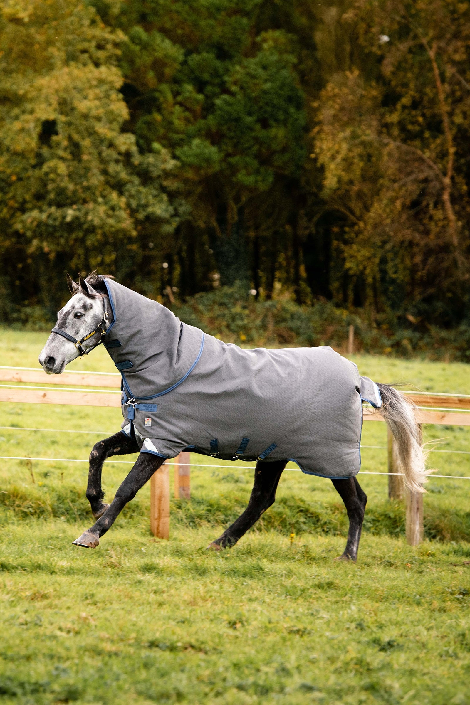 Horseware Rhino Plus HexSTOP Vari-Layer, 100g Horse Rugs
