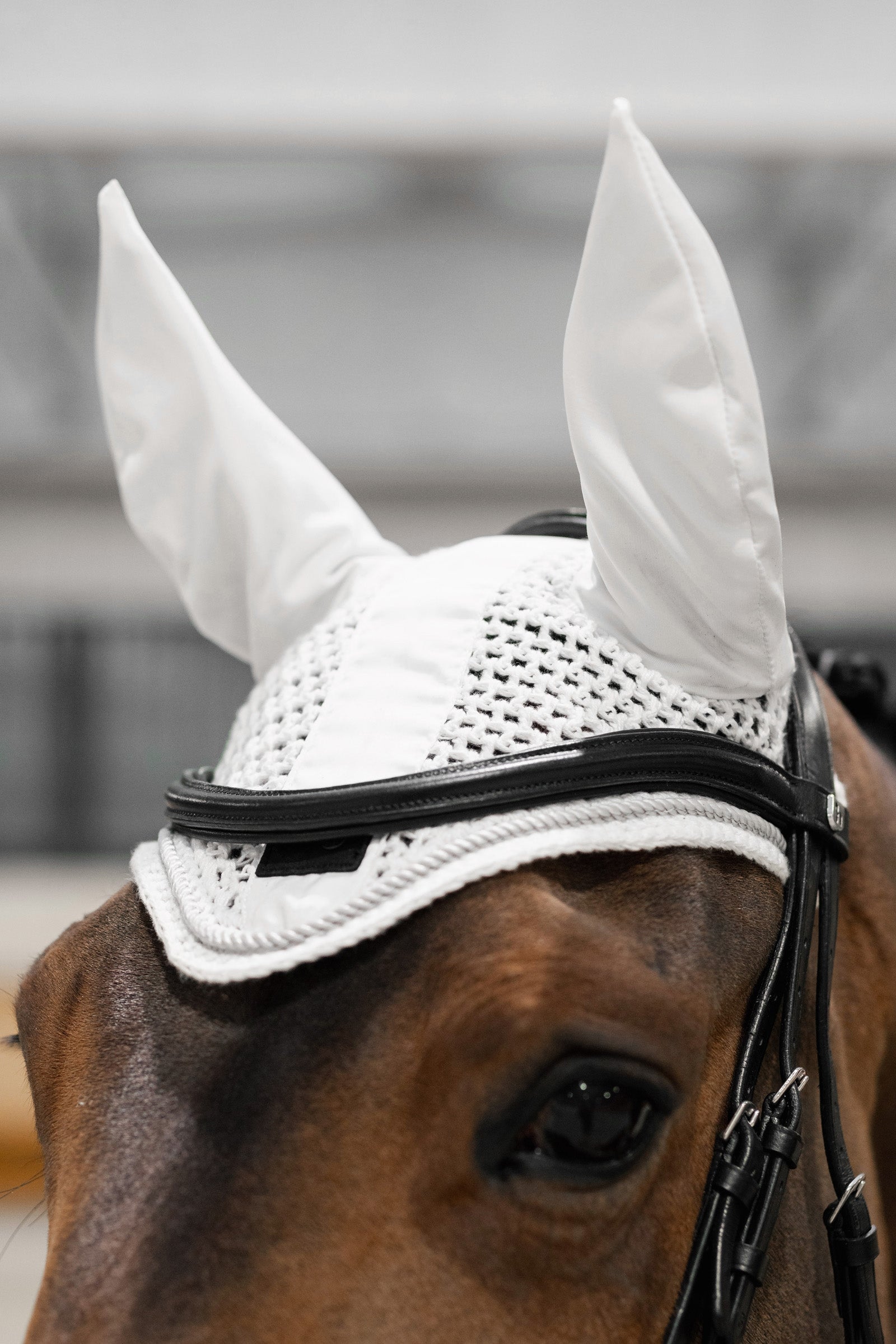 Horze Urban Vitality Ear nets Antifly Protection for Horses