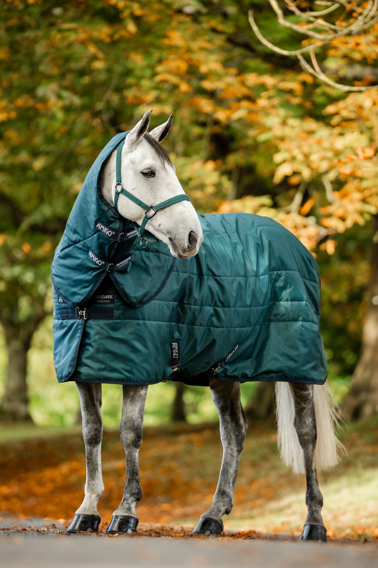 Horseware Amigo Ripstop Insulator Stable Rug, 100 g Horse Rugs