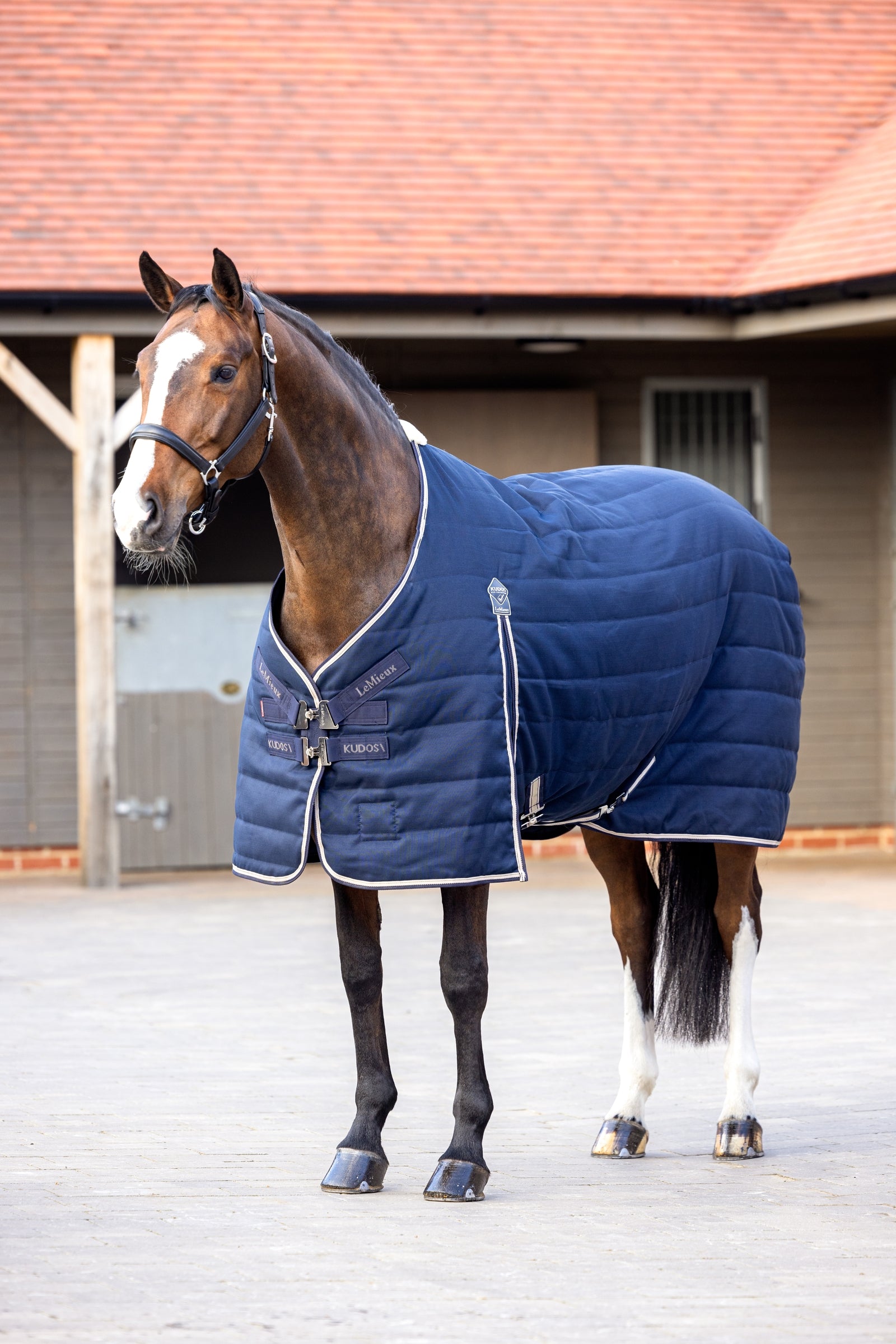 LeMieux Kudos Stable Rug, 100g Lótakarók