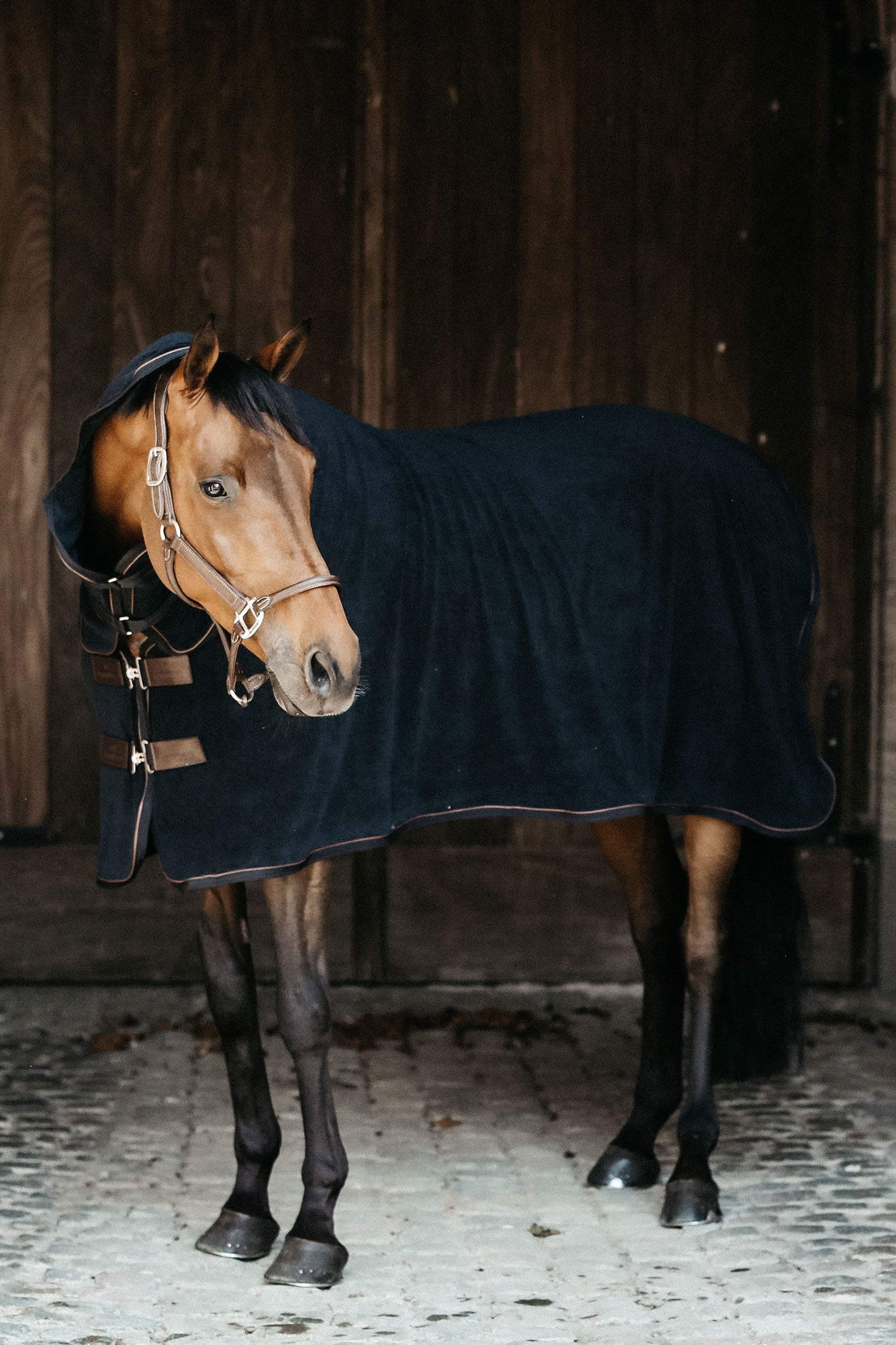 Kentucky Horsewear törölközőhűtő szőnyeg Lótakarók