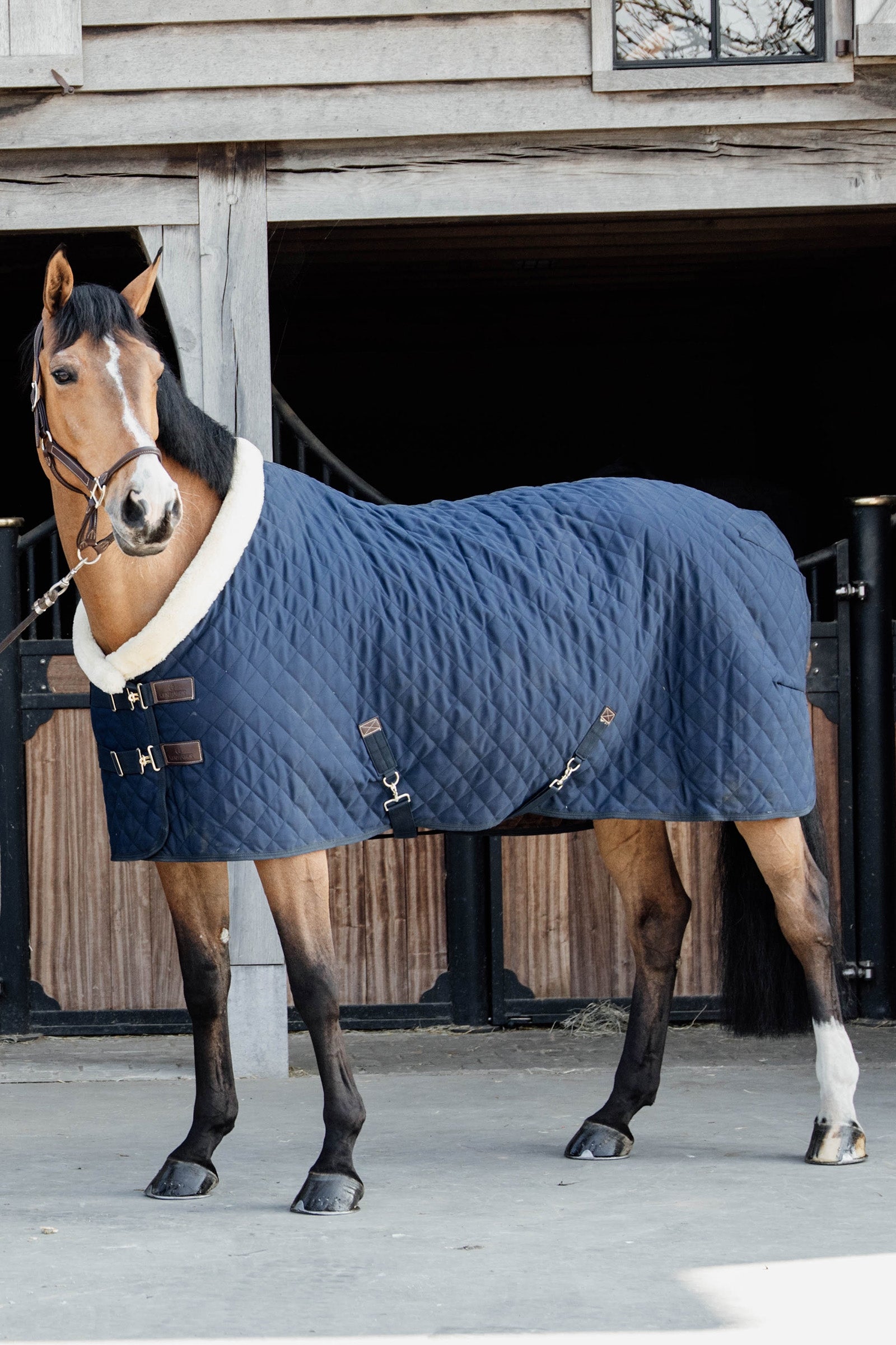 Kentucky Horsewear Show Takaró, 160g Lótakarók