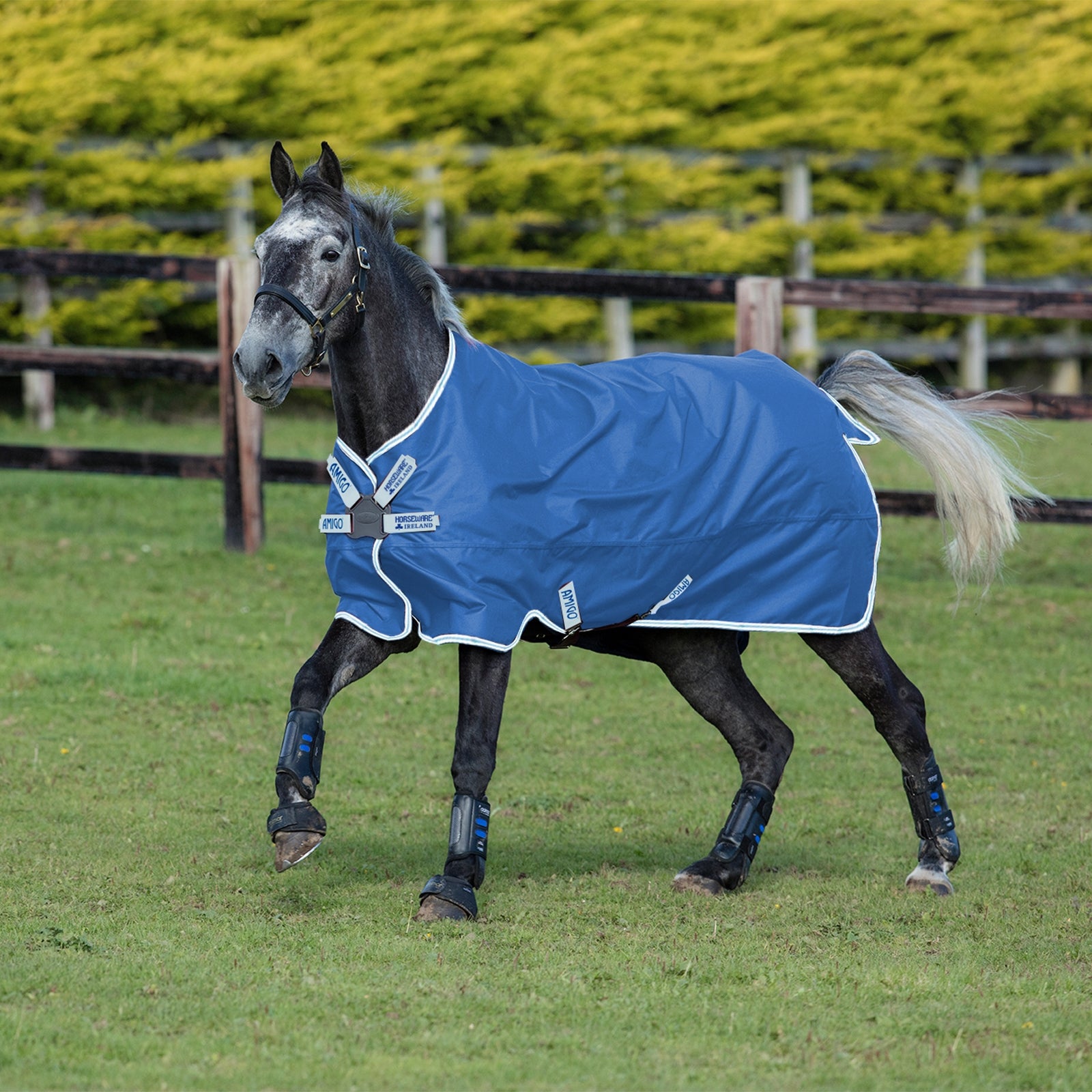 Horseware Amigo Hero 900 Disc Turnout Rug, 50g Lótakarók