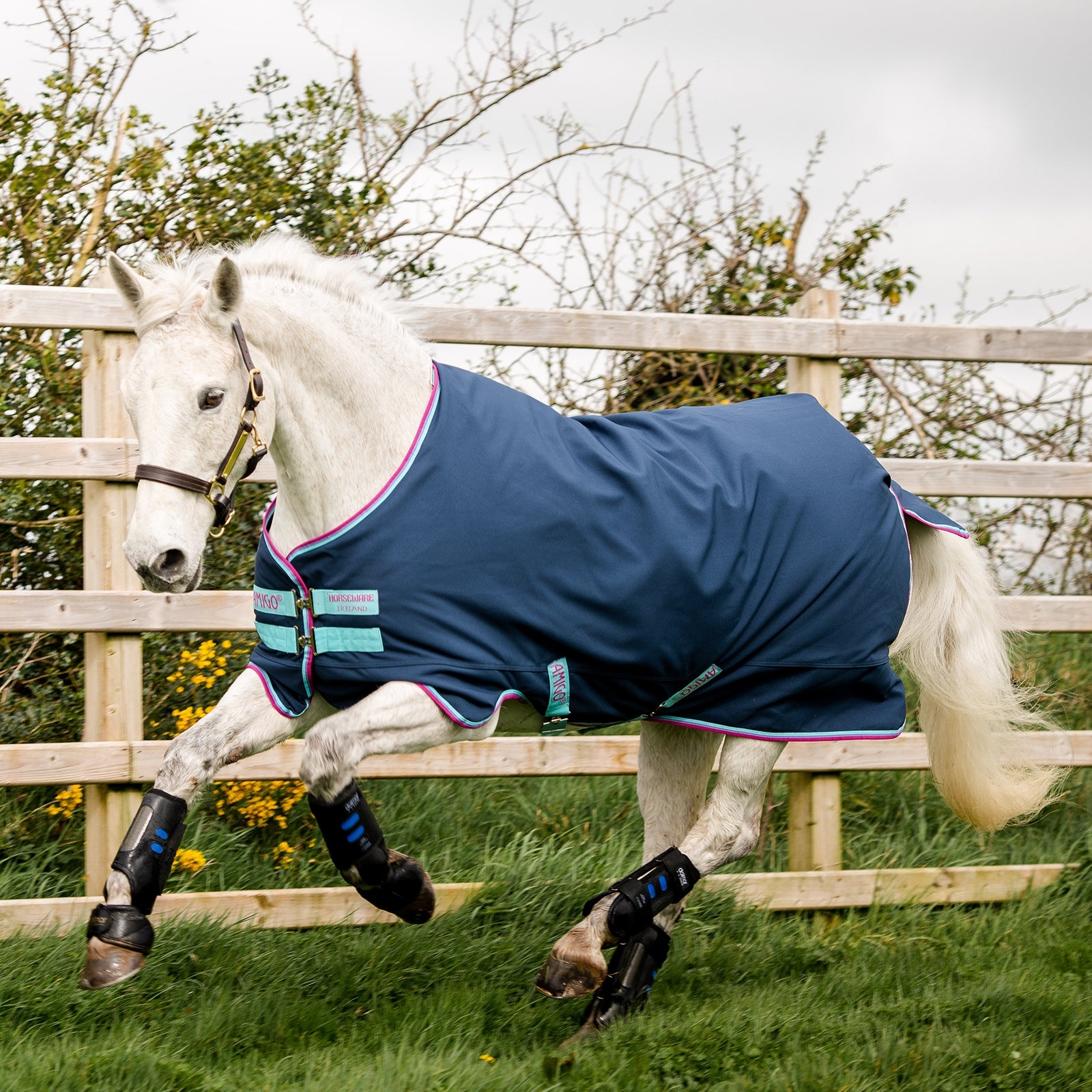 Horseware Amigo Hero 900 Pony Turnout, 0g Horse Rugs