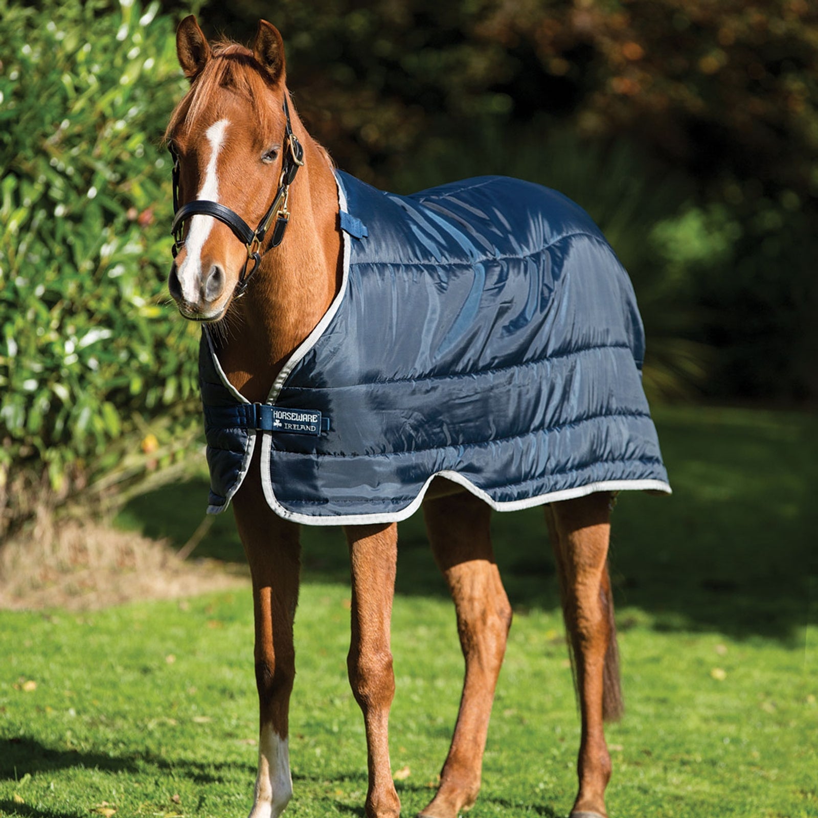 Horseware Pony Under Rug, 200g Lótakarók