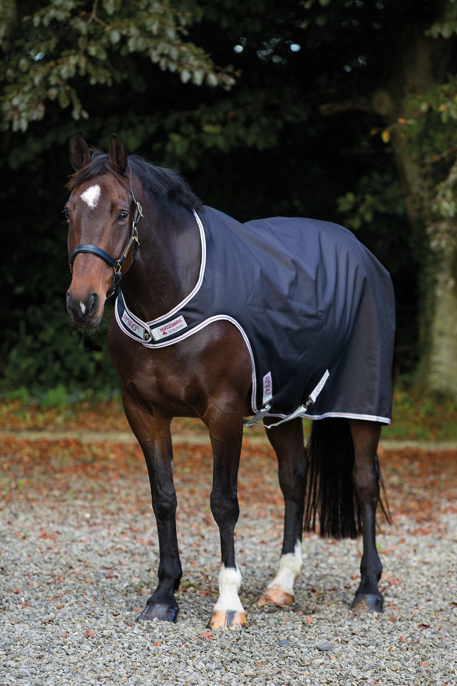 Horseware Amigo jártató takaró, 100g Lótakarók