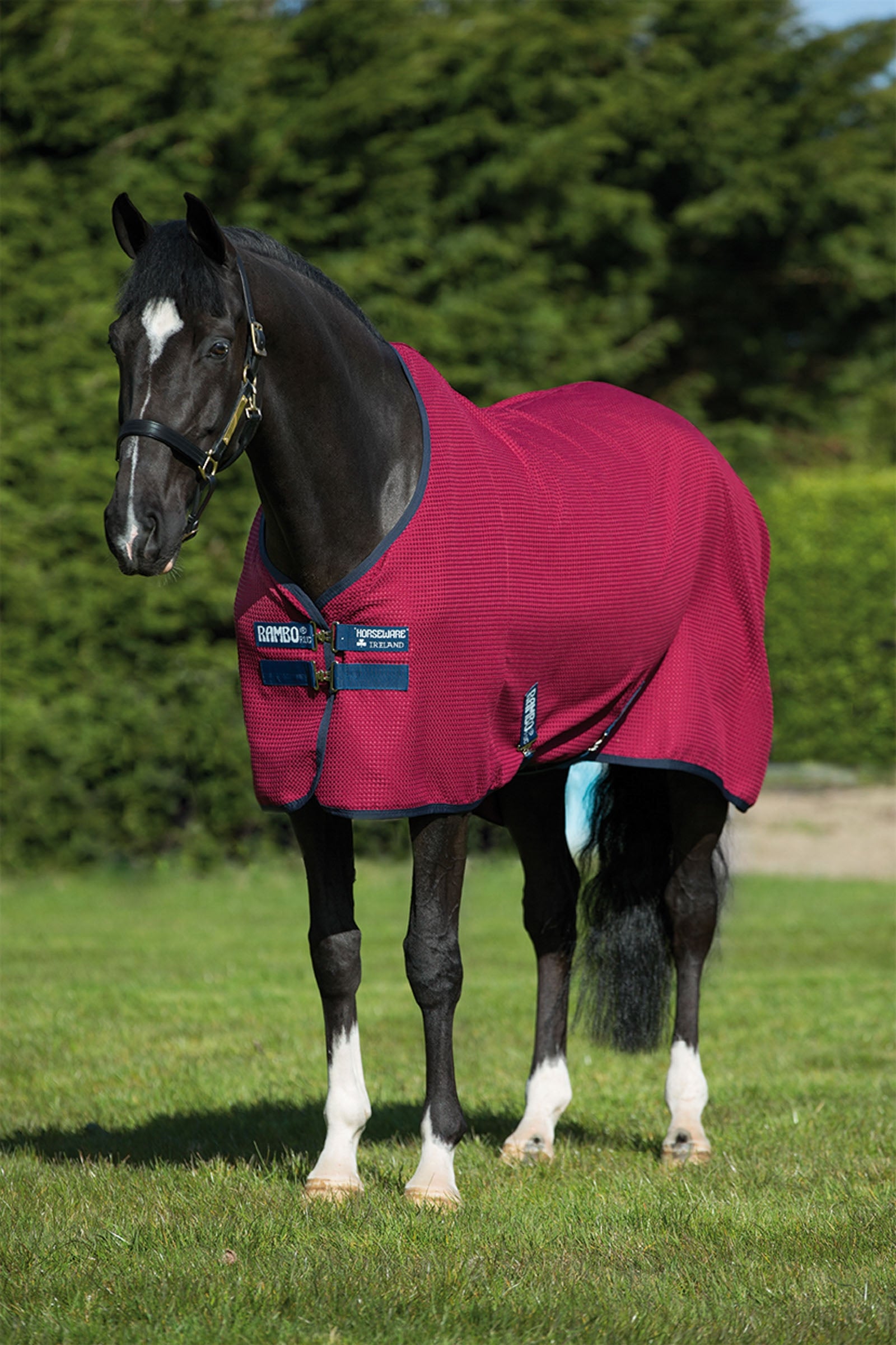 Horseware Rambo Techni gofrihűtő Lótakarók