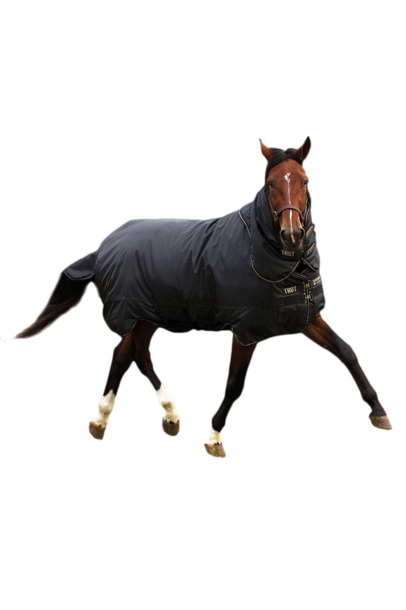 Horseware Trot Plus Kültéri takaró levehető nyakrésszel, 350g Lótakarók
