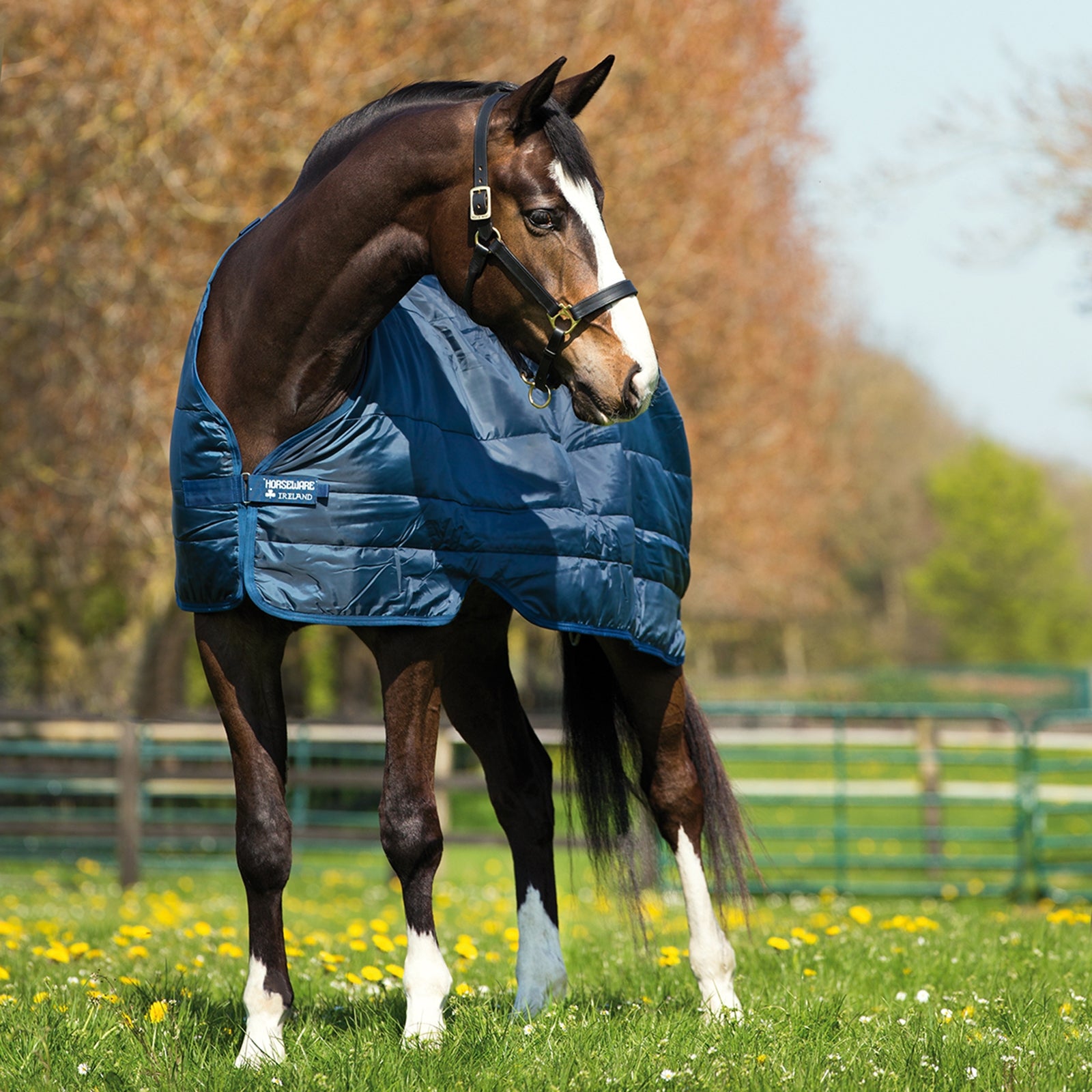 Horseware alátakaró 300 g Lótakarók