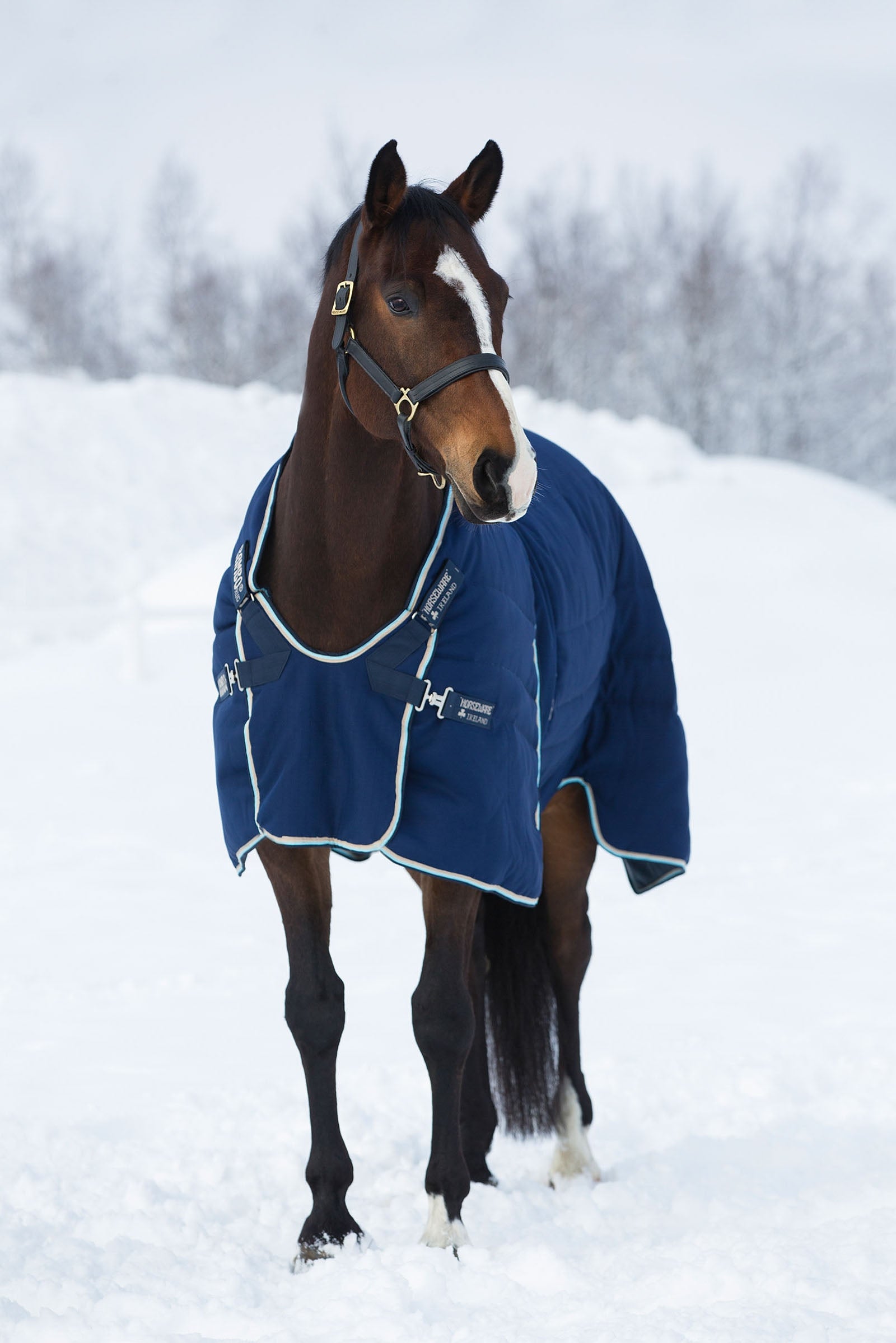 Horseware Rambo Optimo istállószőnyeg, 400g Lótakarók