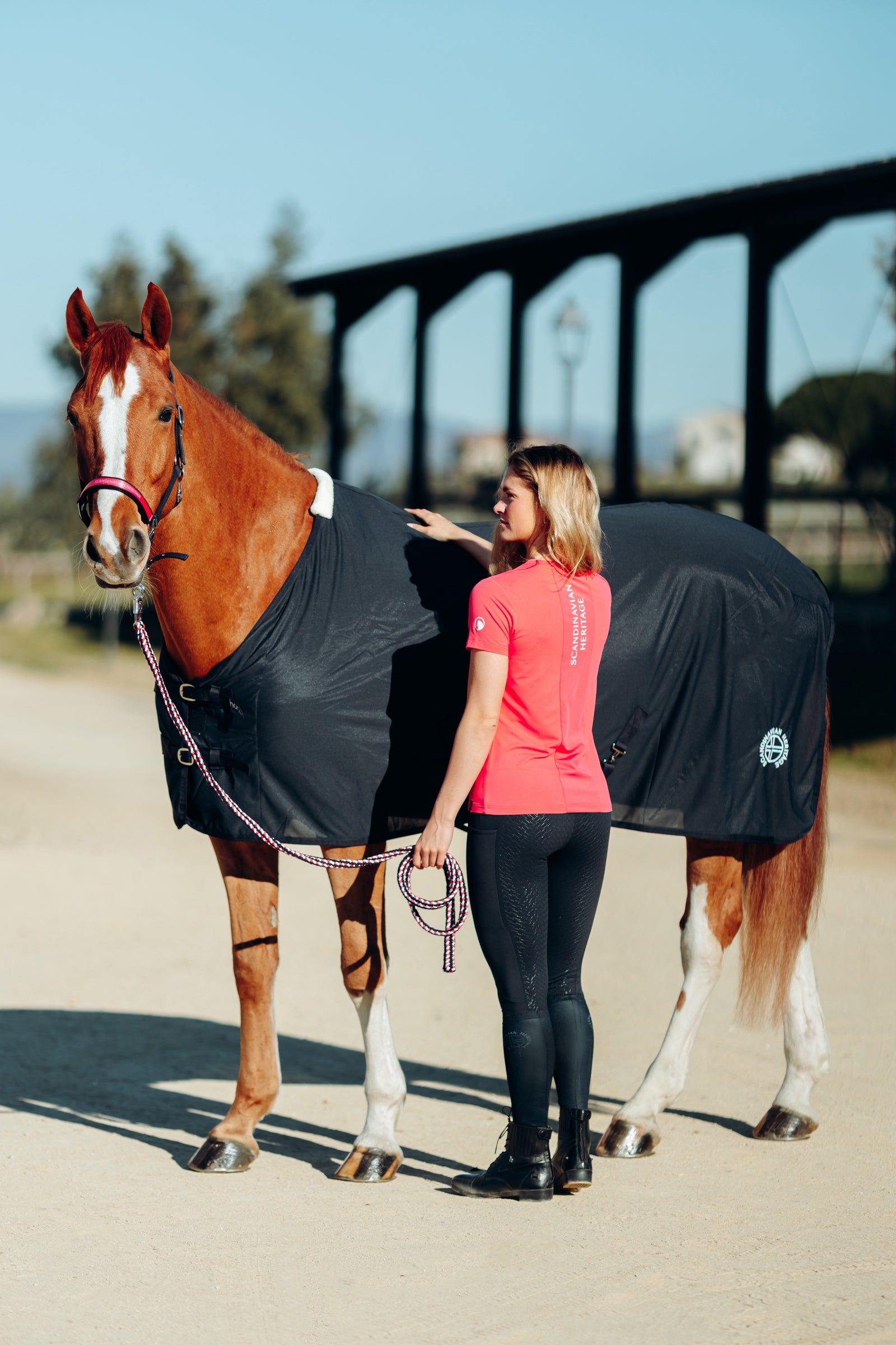 Horze Printed Riding Socks with Thin Shaft Socks