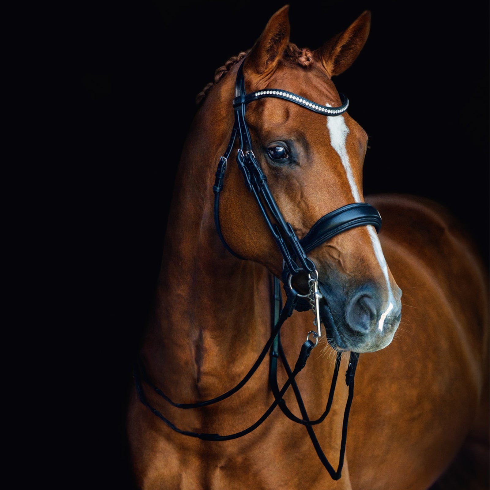 Schockemöhle Sports Venice Double Bridle Bridles & Reins