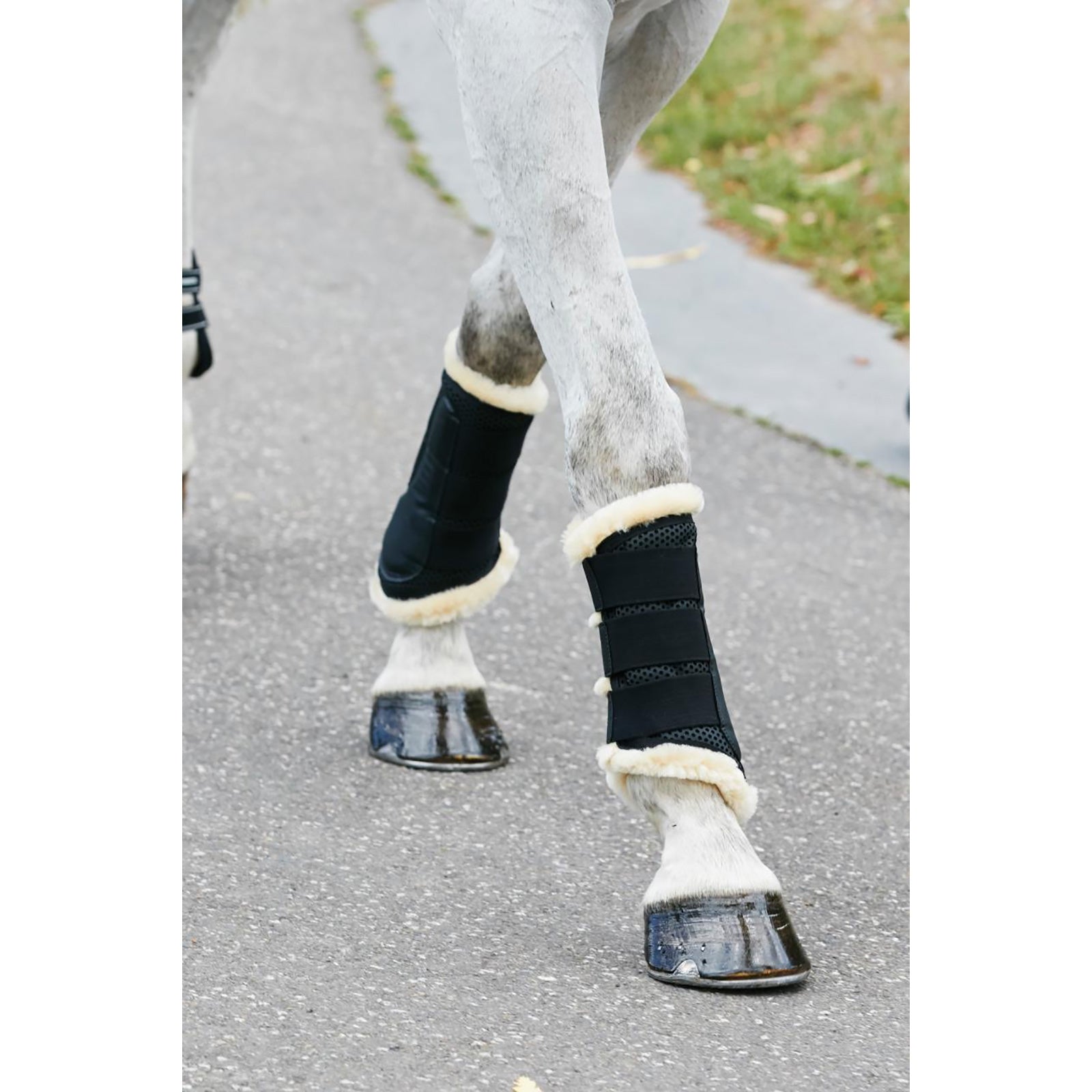 Weatherbeeta tiszta gyapjú bélésű edzőcsizma Leg Protection & Hoof Protection for Horses