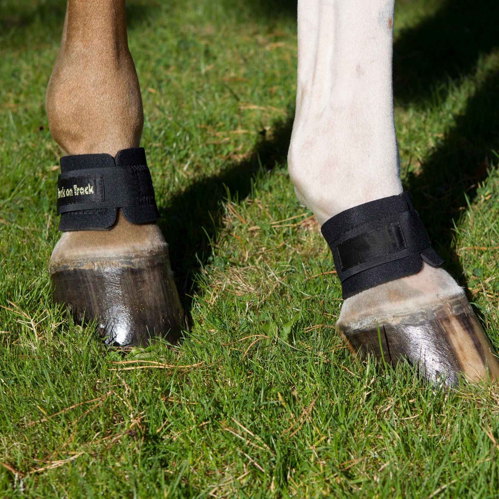 Back on Track Csüdvédő Leg Protection & Hoof Protection for Horses