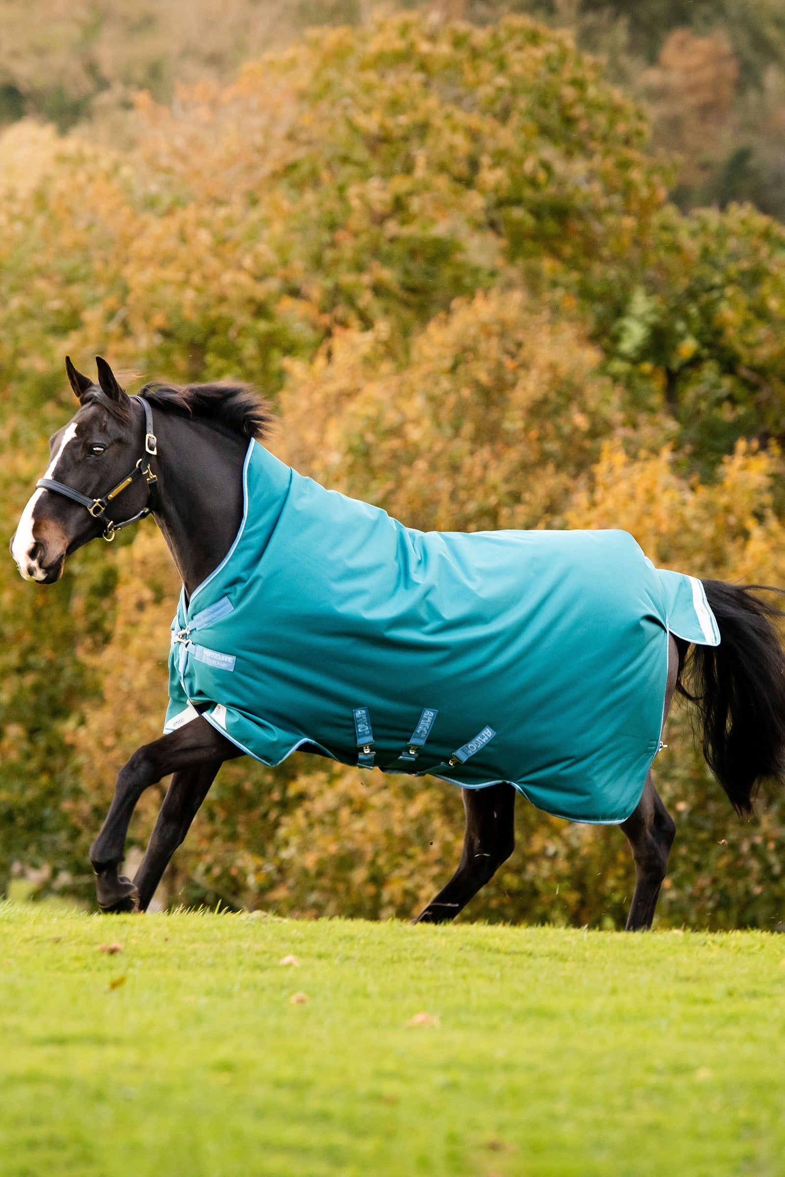 Horseware Amigo Bravo 12 Wug kültéri takaró magas nyakkal, 0 g Lótakarók