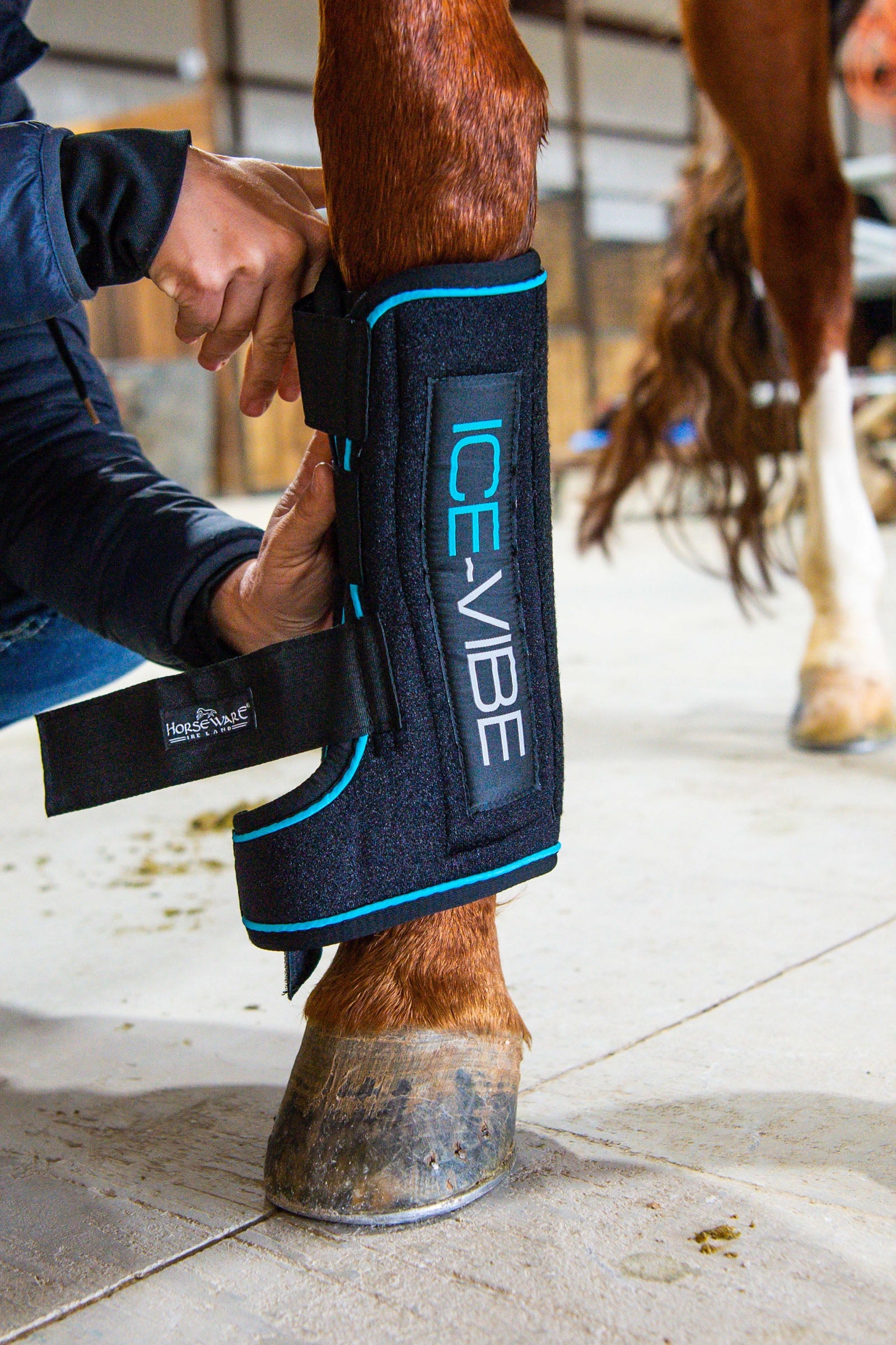Horseware Ice-Vibe Boots Leg Protection & Hoof Protection for Horses