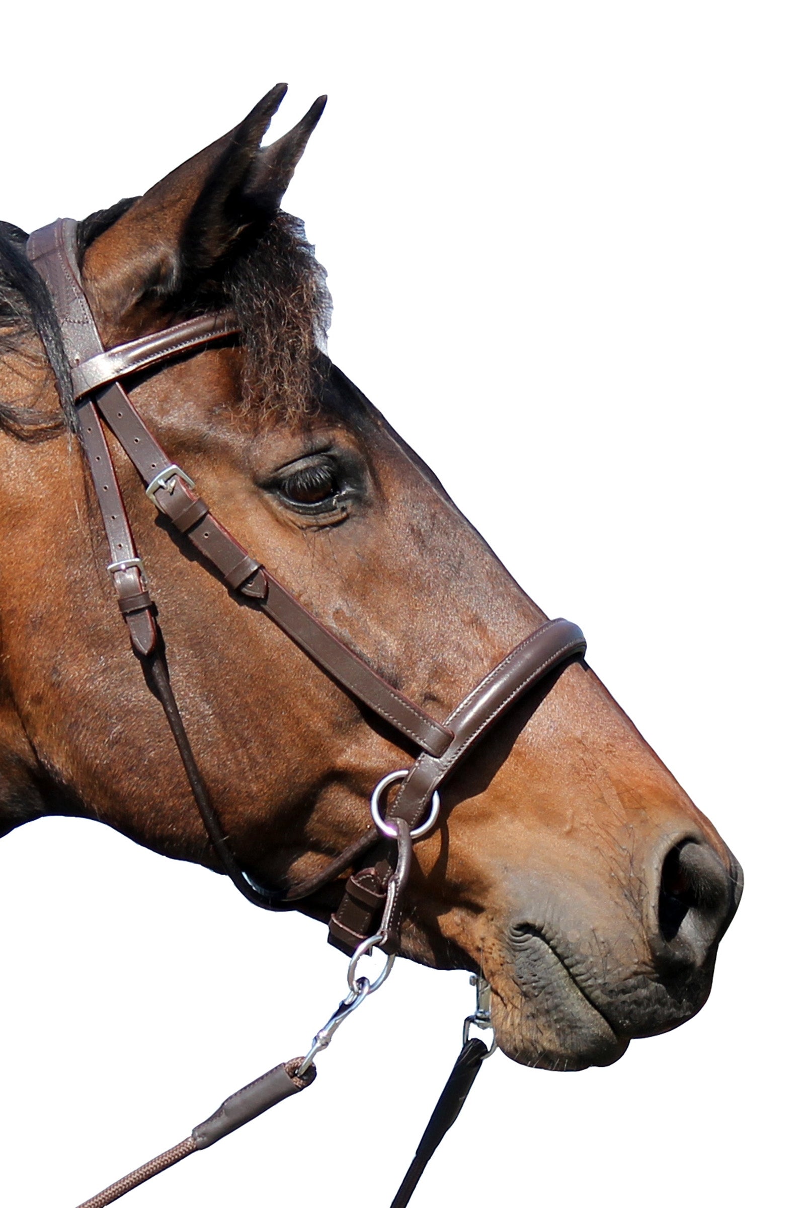 F.R.A. Freedom Riding Articles El Camin bit nélküli kantár (5-ös rendszer) puha szárral Kantárok & Szárak