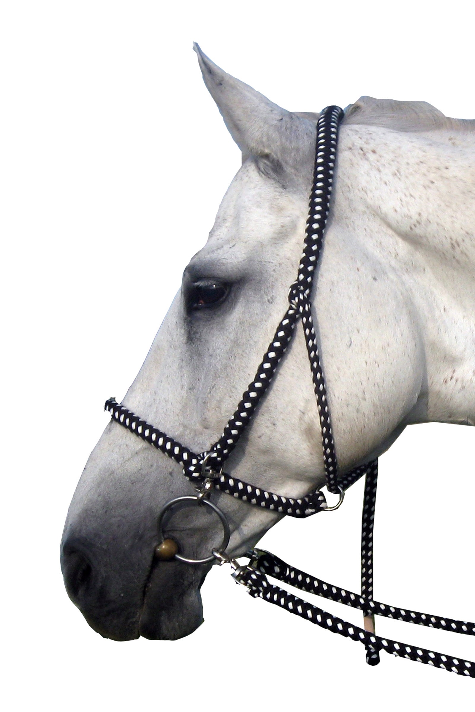 F.R.A. Freedom Riding Articles Gregor kötőfék-kantár pamut gyeplővel együtt Kötofékek & Vezetoszárak