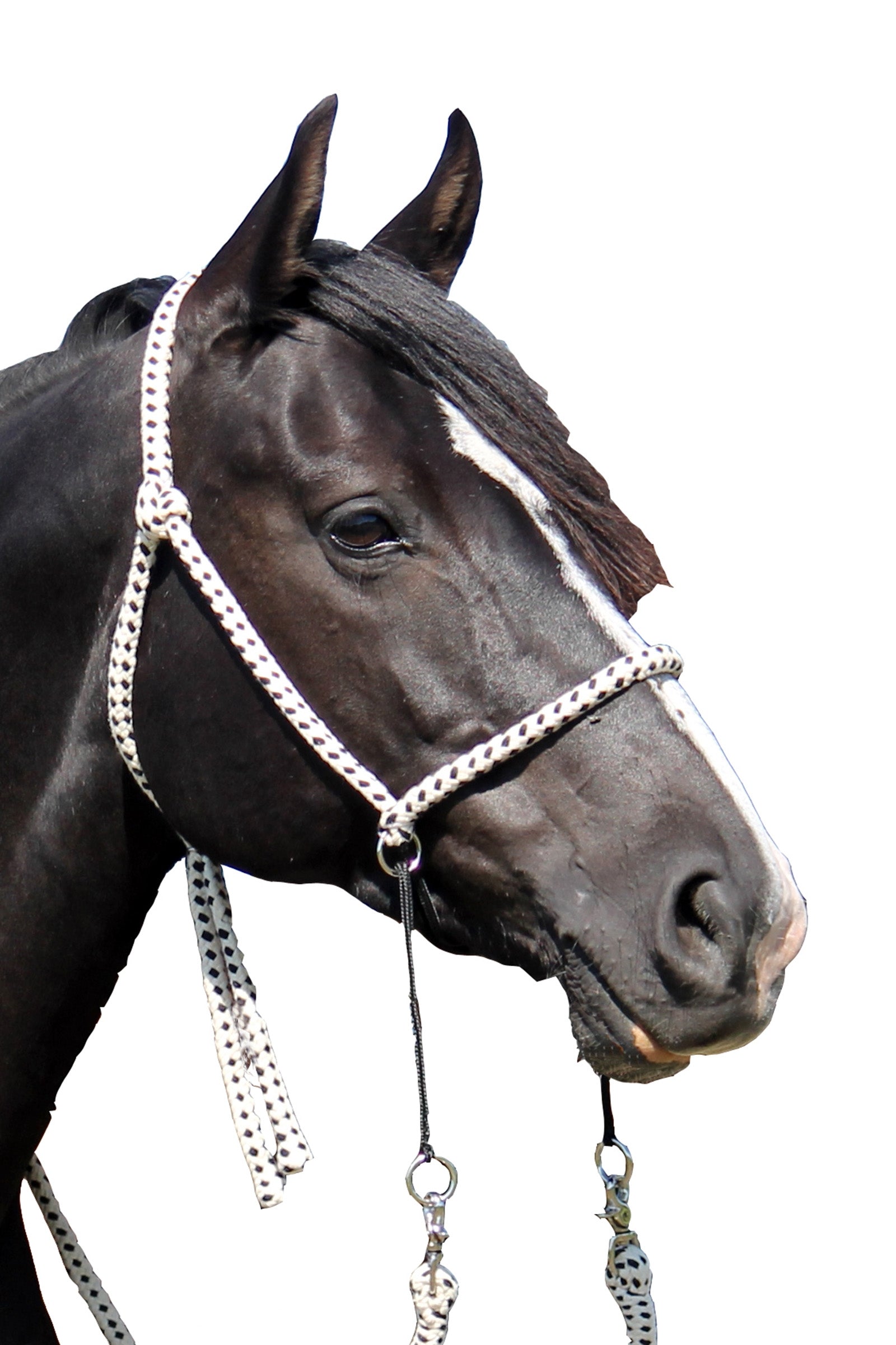 F.R.A. Freedom Riding Articles F.R.A. Nanouk Nanouk Szárral Kantárok & Szárak
