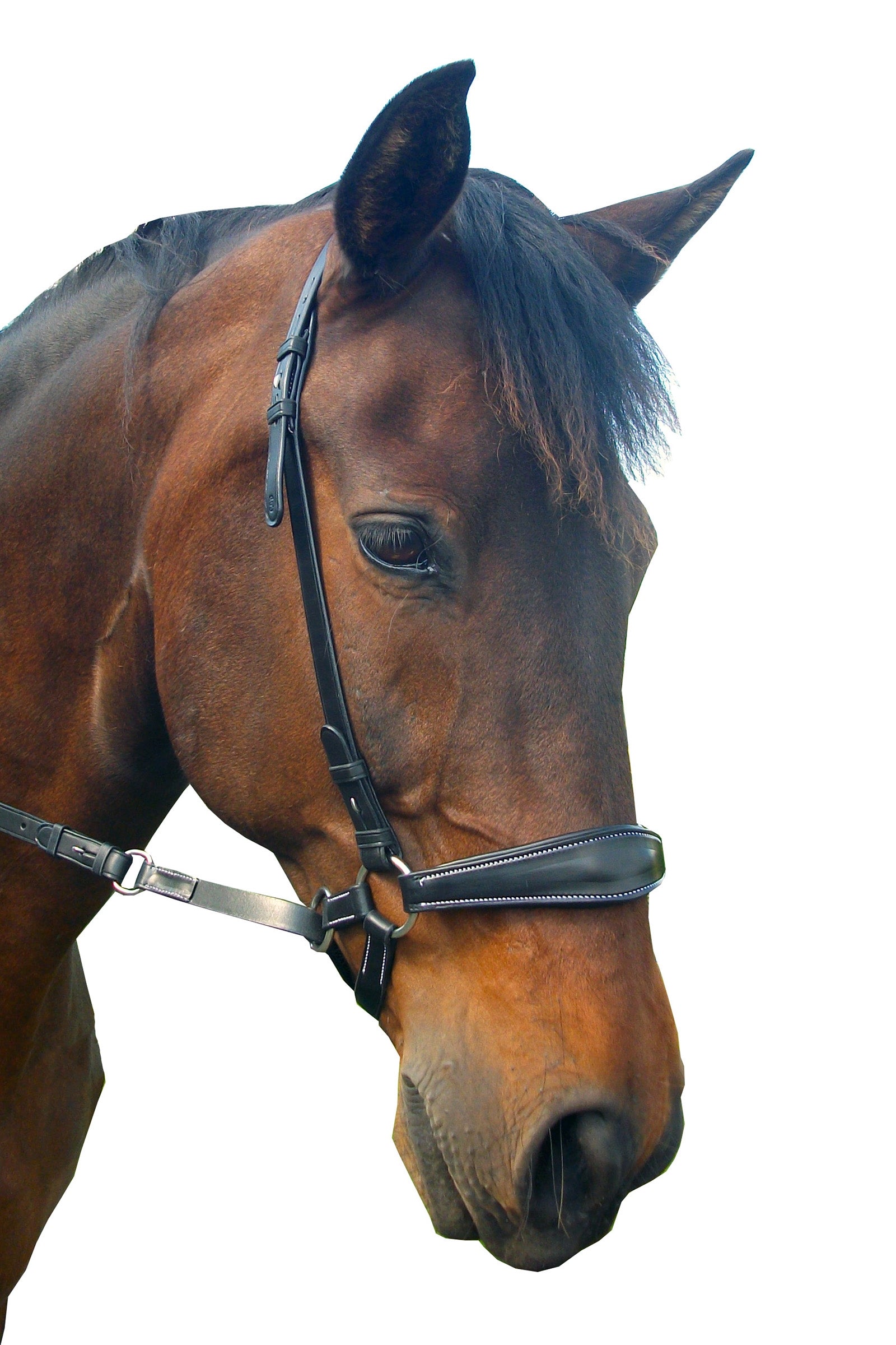 F.R.A. Freedom Riding Articles Lami Bitless kantár (4-es rendszer) Reins & Studhook Connecttel Kantárok & Szárak