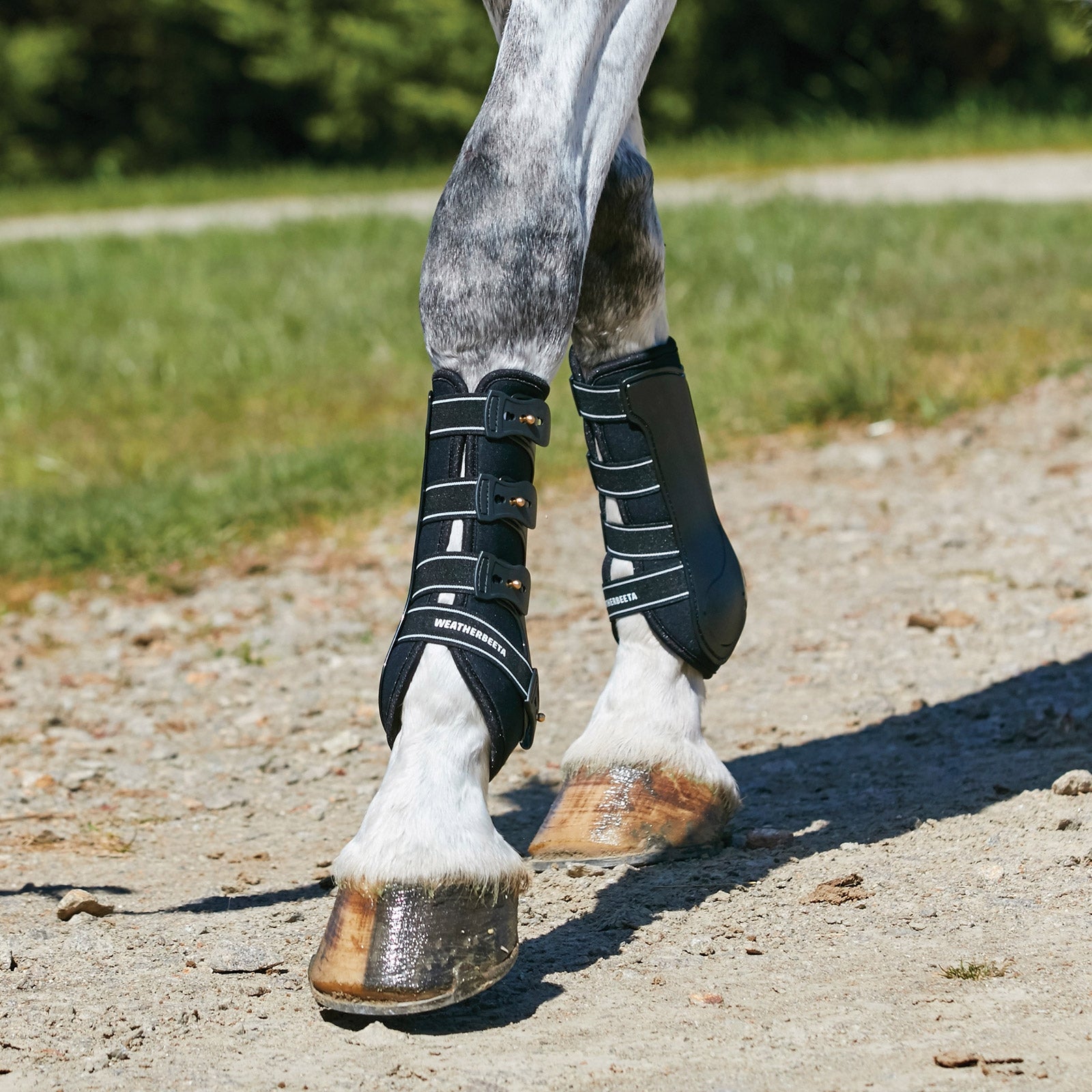 Weatherbeeta Hard Shell díjlovas csizma Leg Protection & Hoof Protection for Horses
