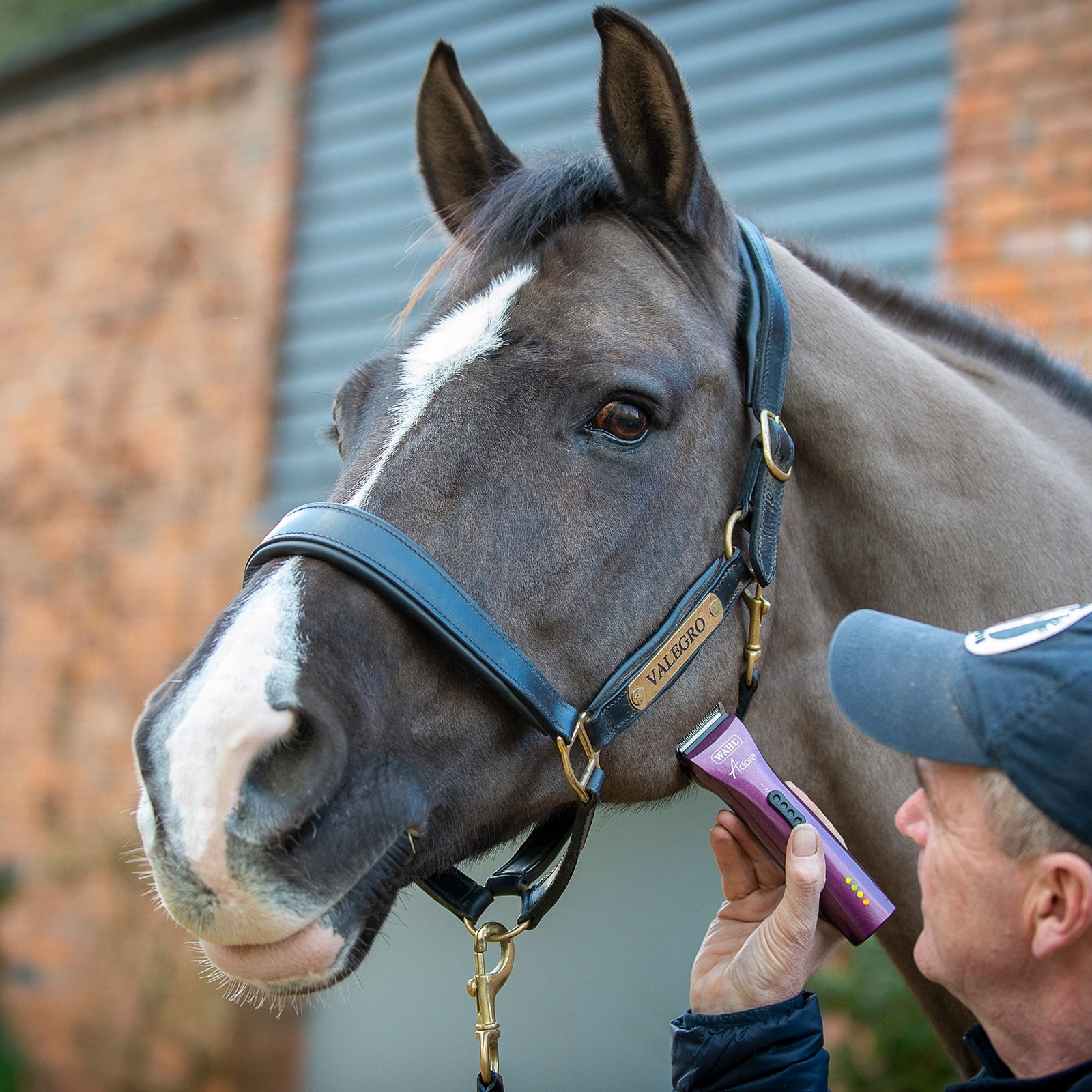 Wahl Adore Trimmer Horse Clipping & Trimming Tools