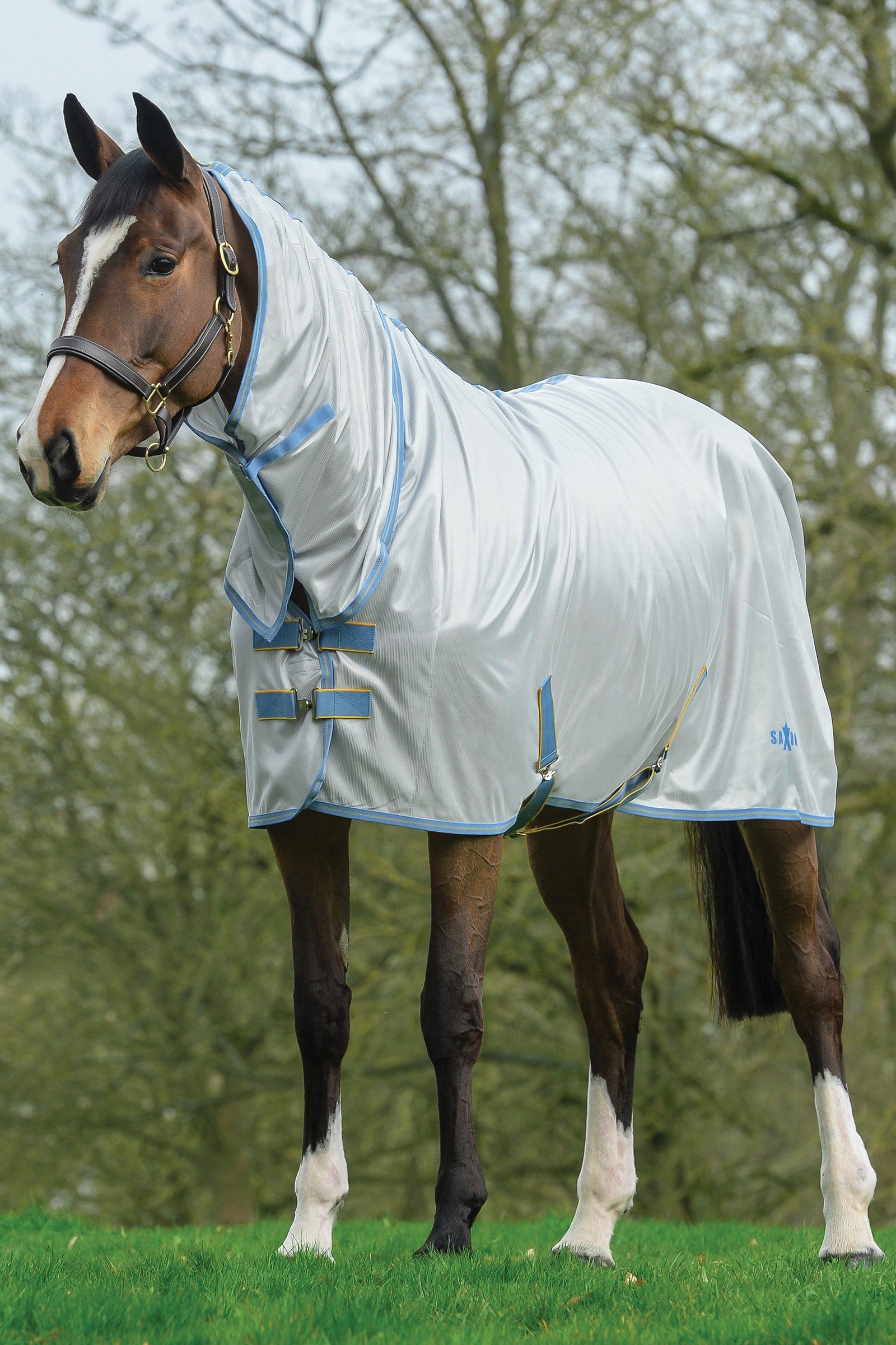 Saxon Hálós Kombinált Takaró fix nyakkal Lótakarók