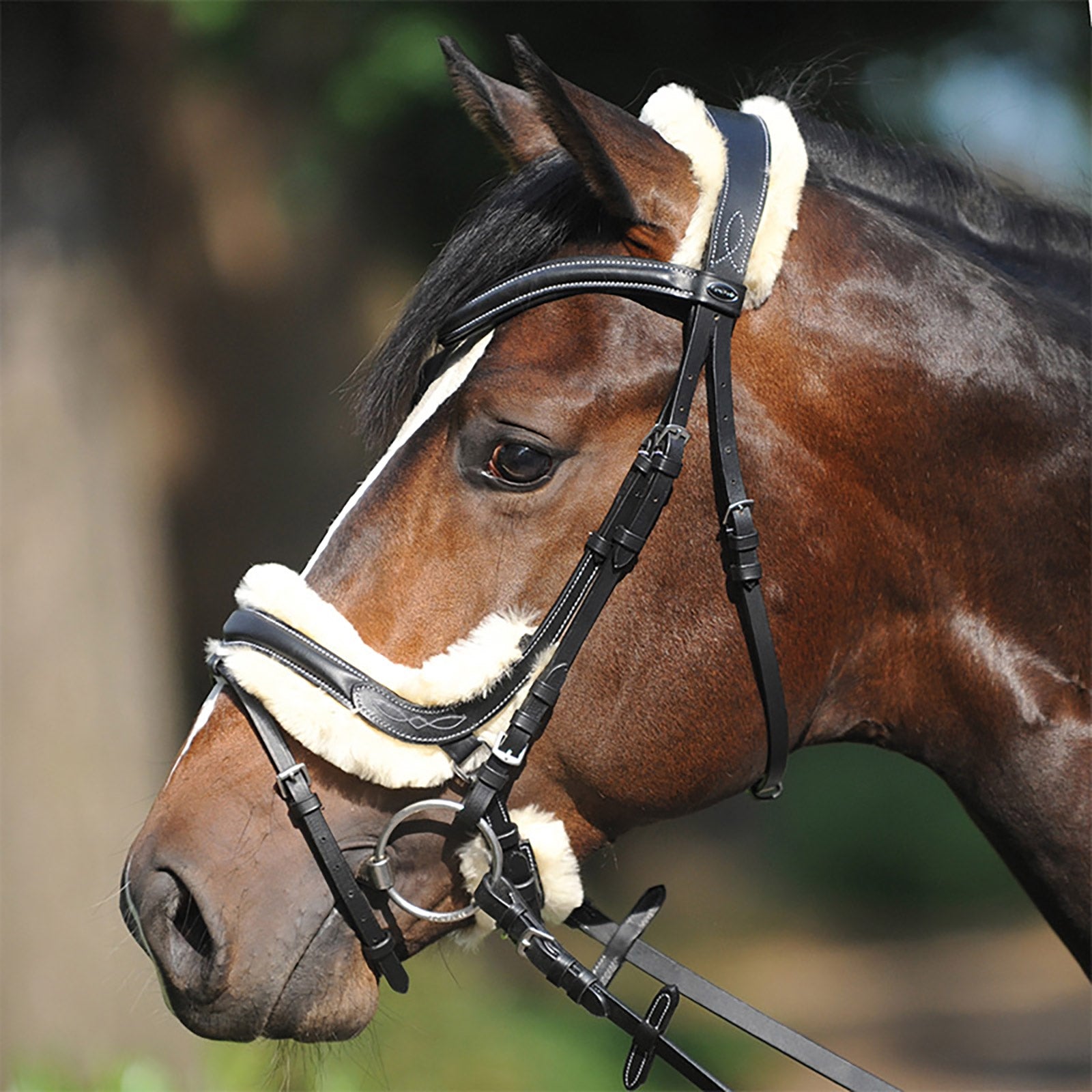 Kavalkade Ivy Sheepskin Bridle Kantárok & Szárak