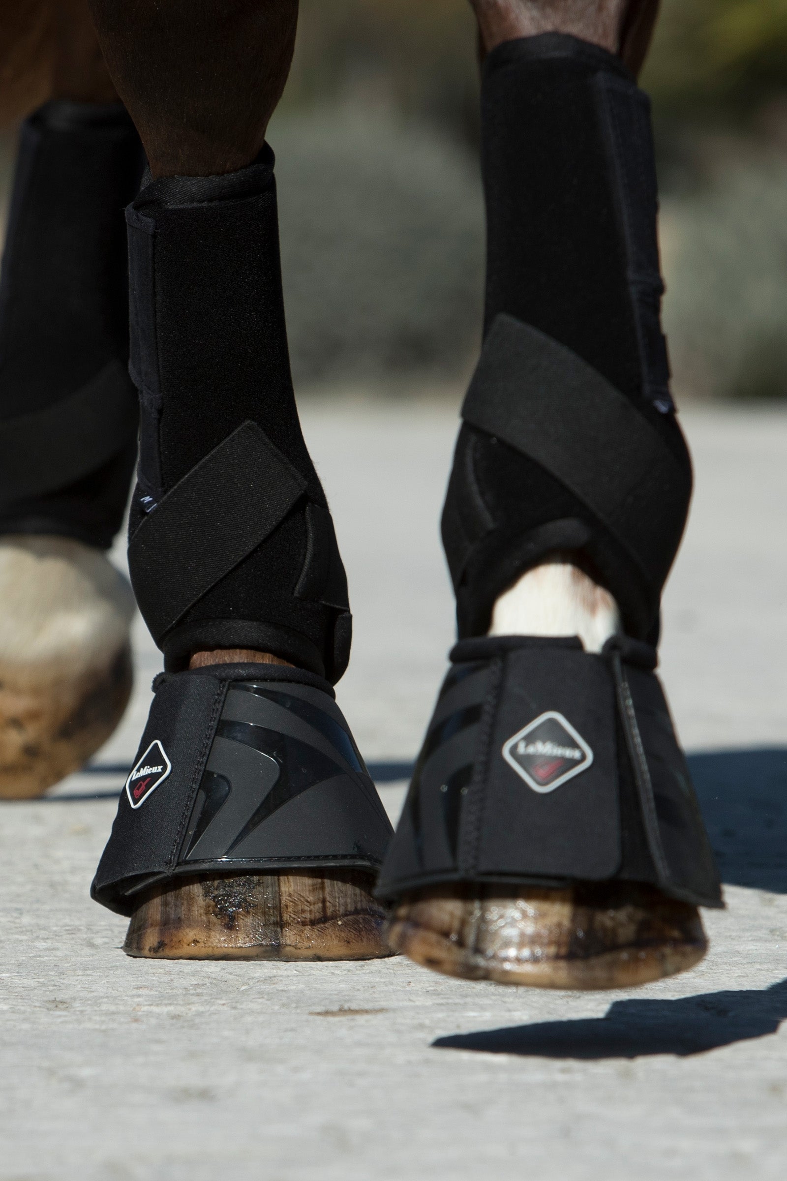 LeMieux ProShell Pataharang Leg Protection & Hoof Protection for Horses