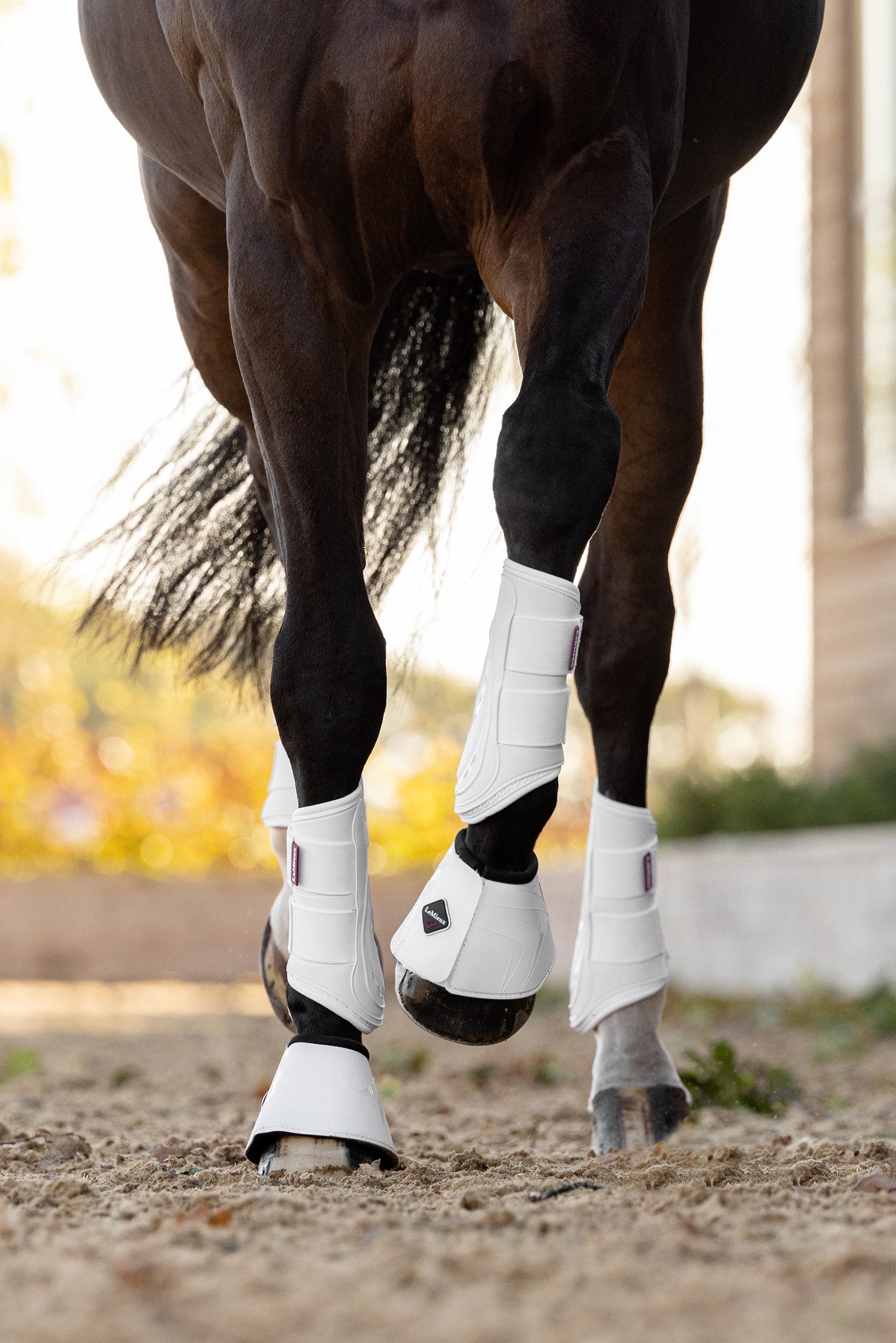 LeMieux ProShell Pataharang Leg Protection & Hoof Protection for Horses