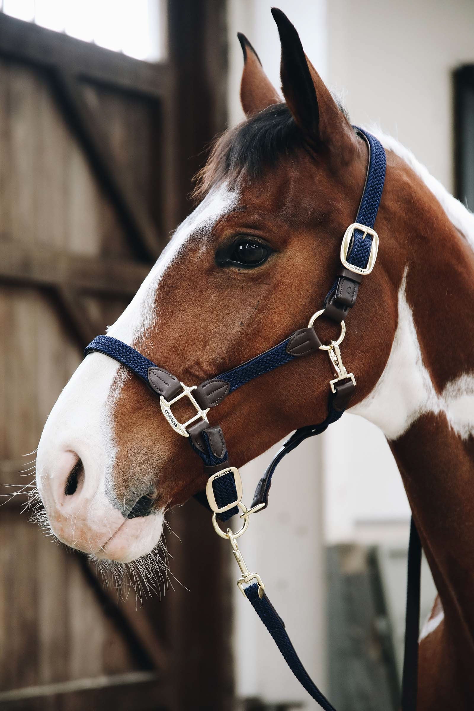 Kentucky Horsewear Kentucky fonott nylon kötőfék Kötofékek & Vezetoszárak