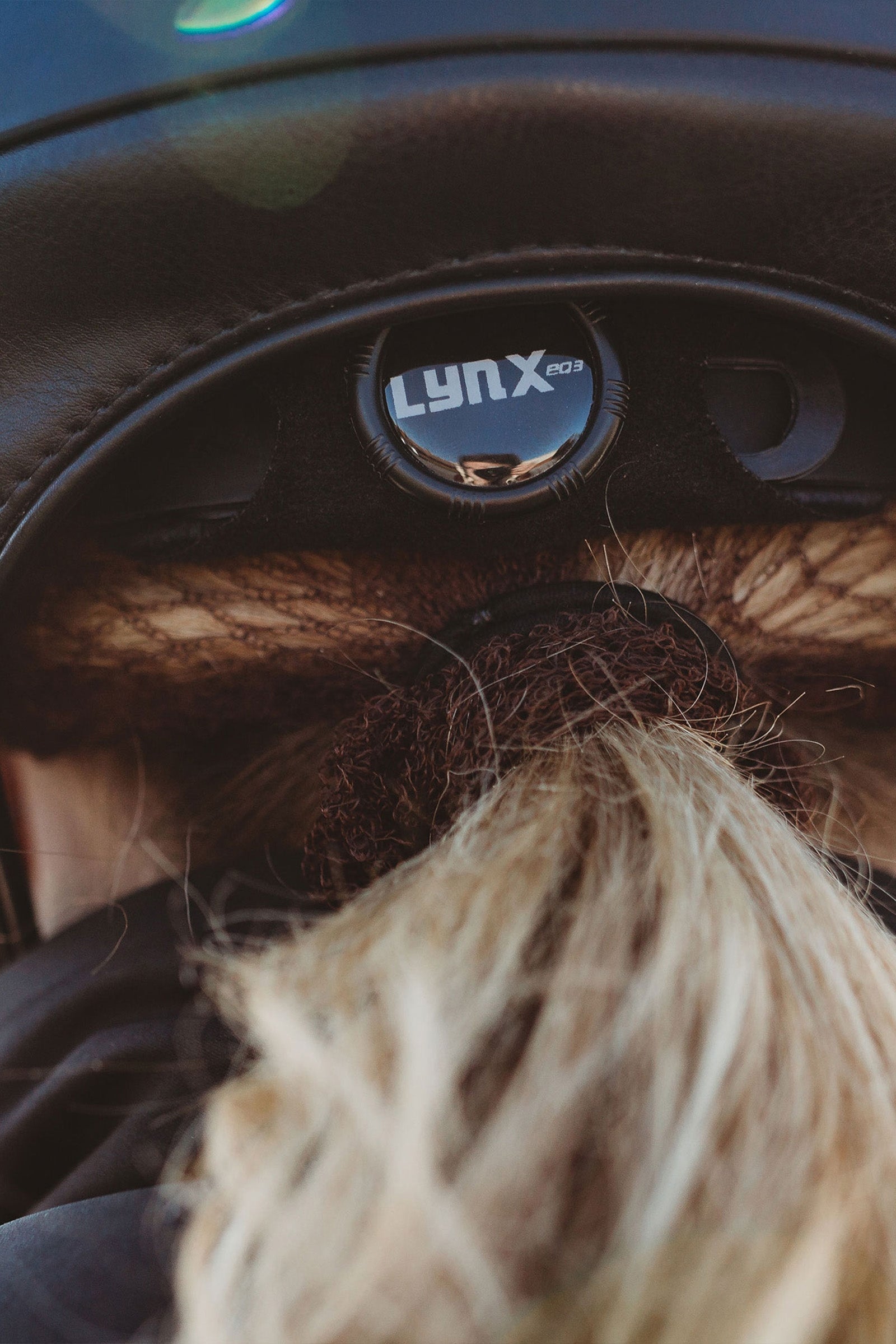 Back on Track EQ3 MIPS Lynx Smooth Top Riding Helmet Safety Equipment