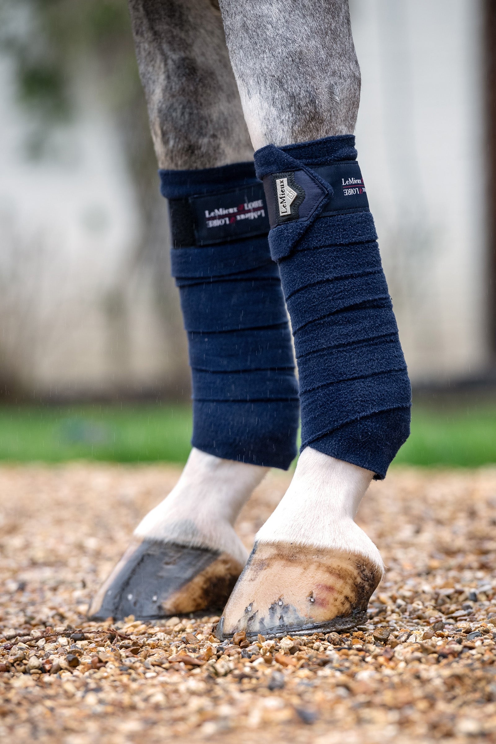 LeMieux Loire Polárfásli Leg Protection & Hoof Protection for Horses