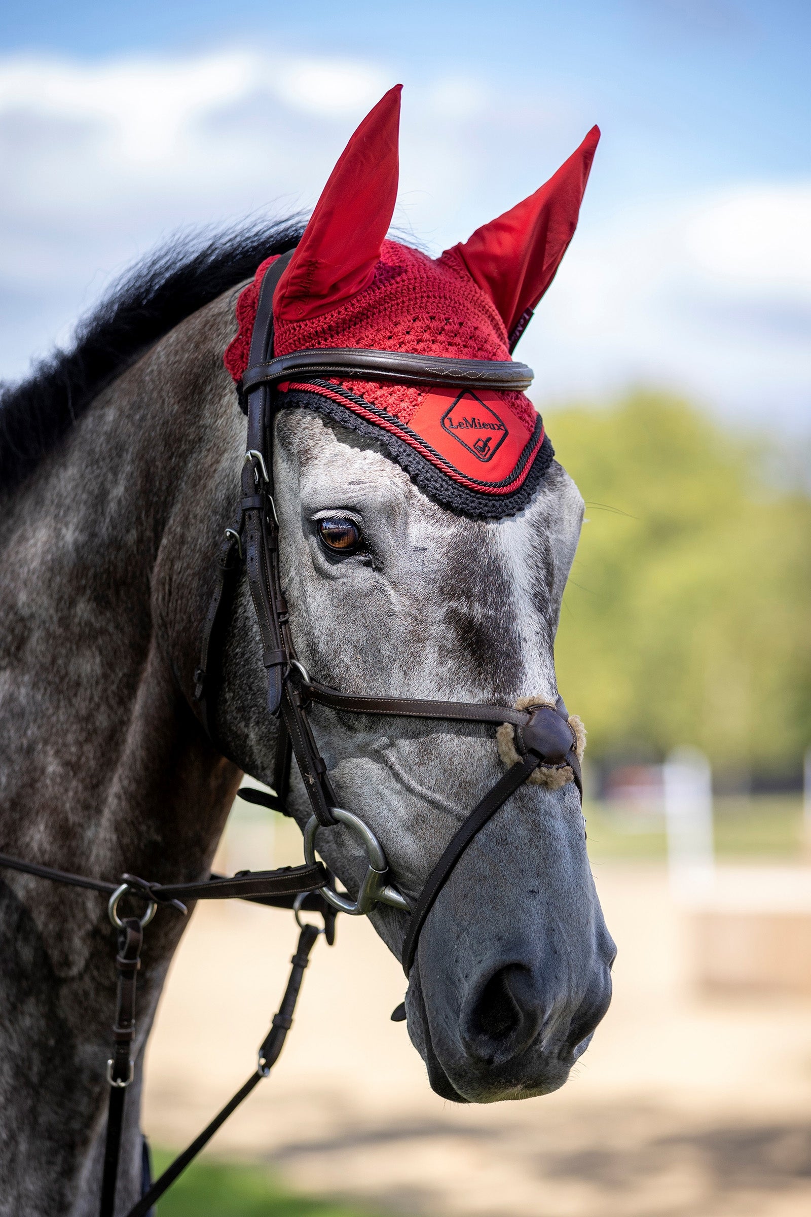 LeMieux Classic Fly Hood Saddle Pads